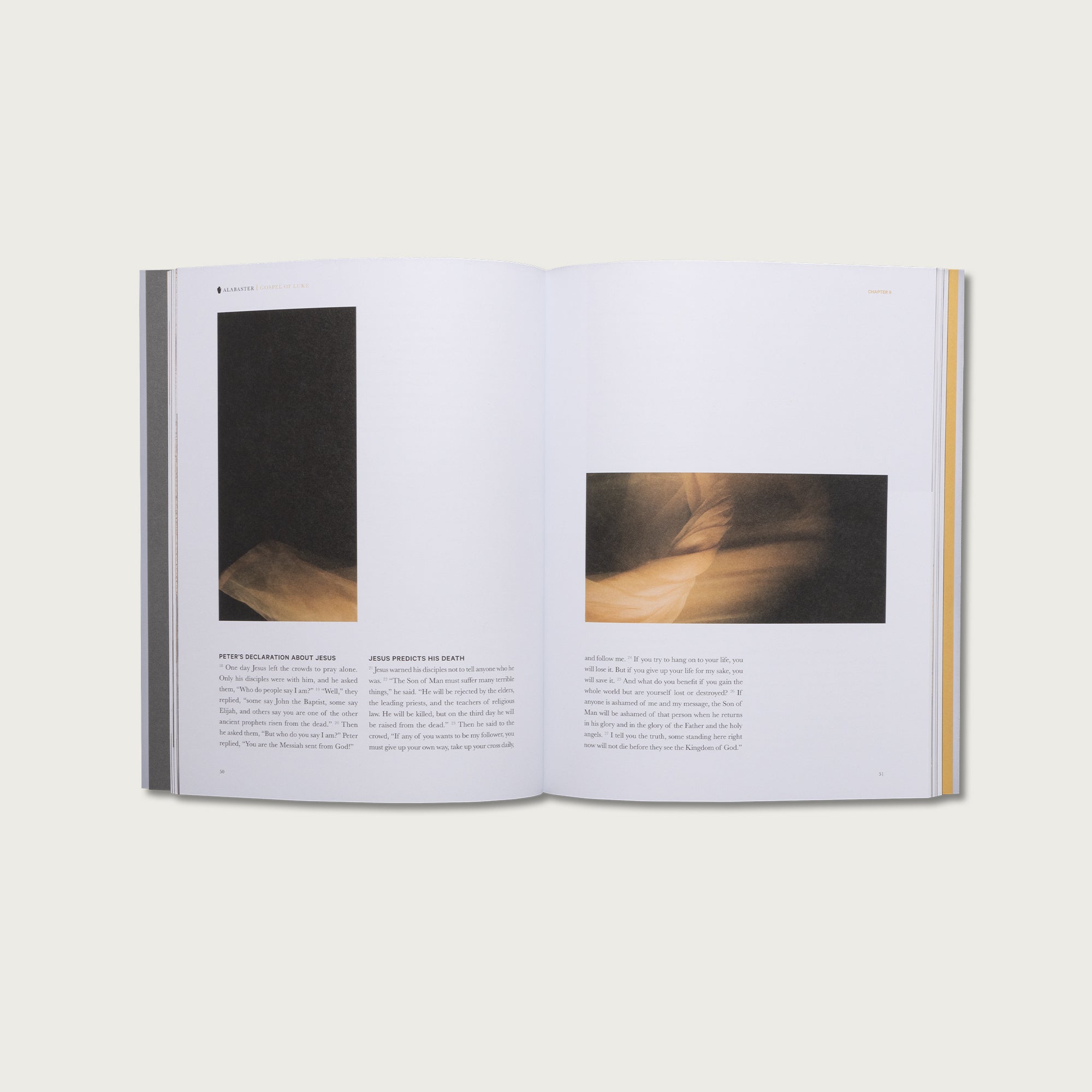 The Study Collection