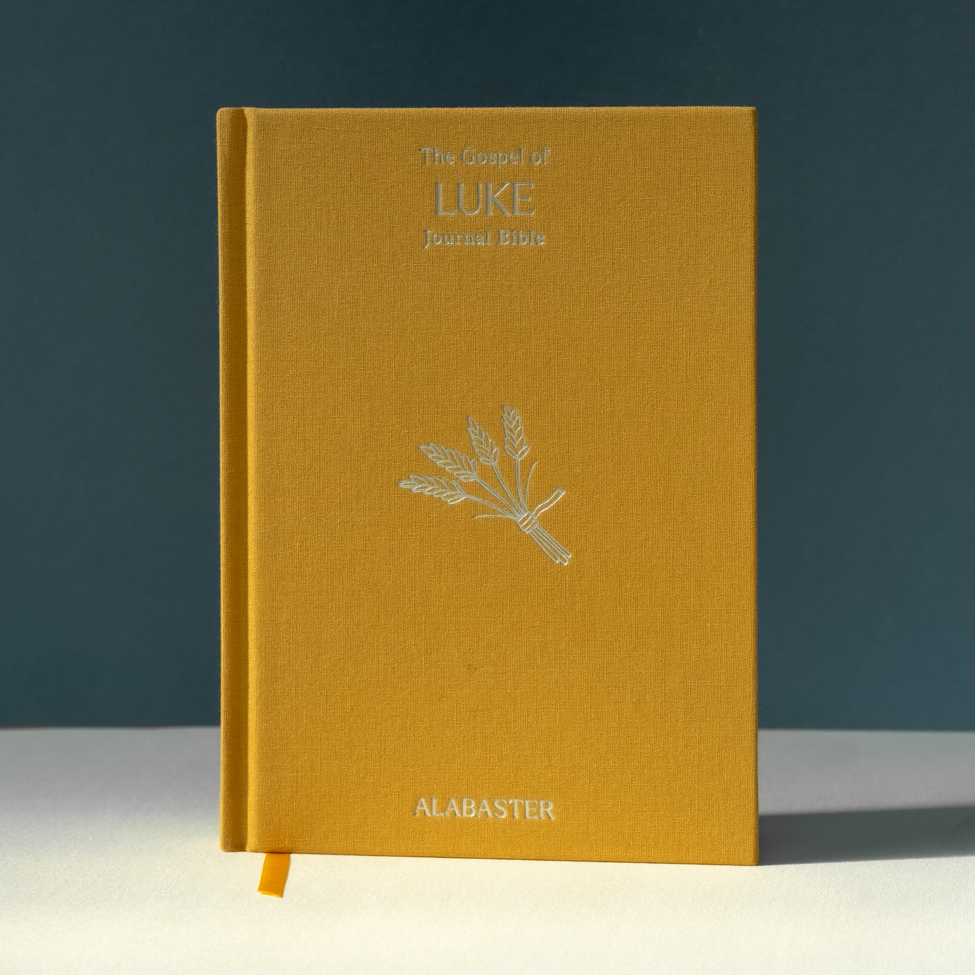 The Gospel of Luke Journal Bible