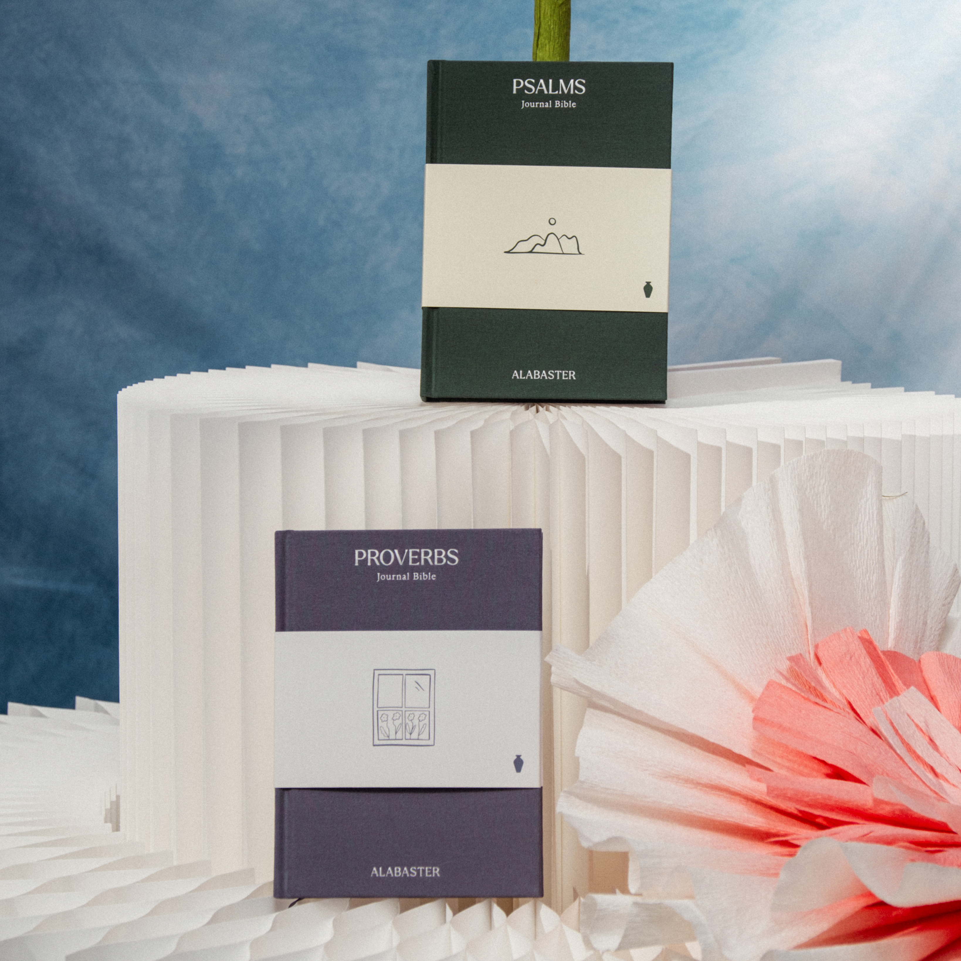 Wisdom Pairing: Journal Bibles