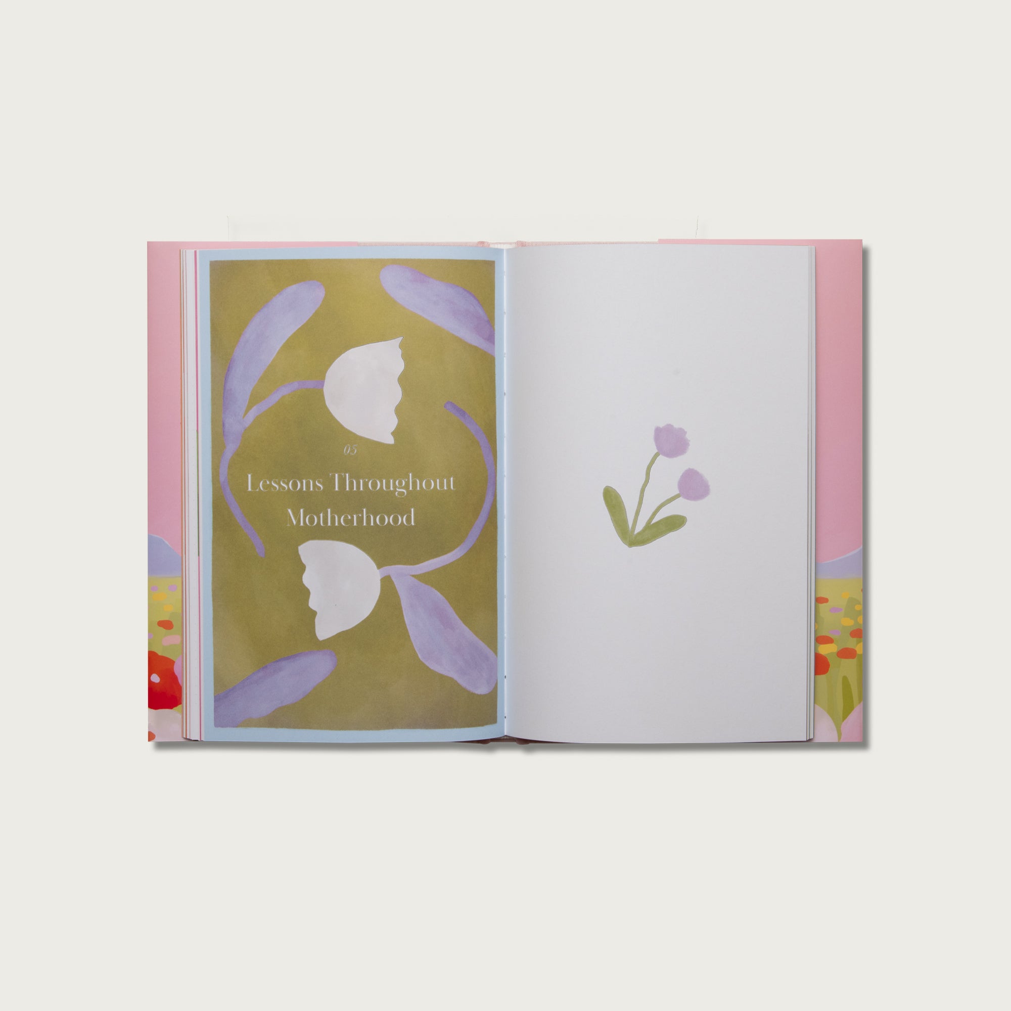 My Mom's Testimony: A Guided Journal for Sharing Her Beautiful Story