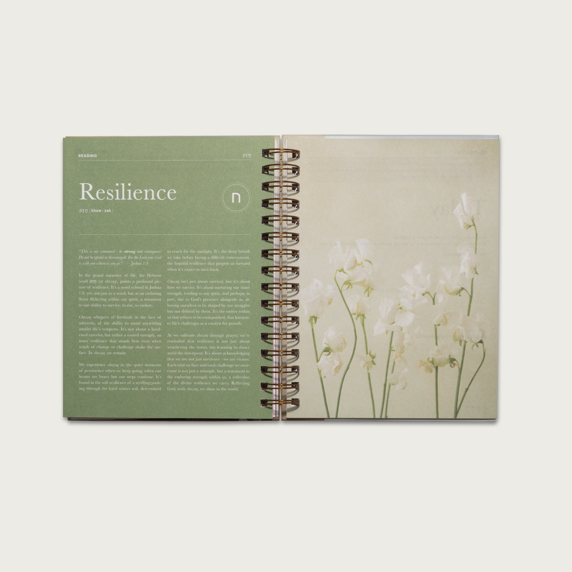 The Prayer Journal