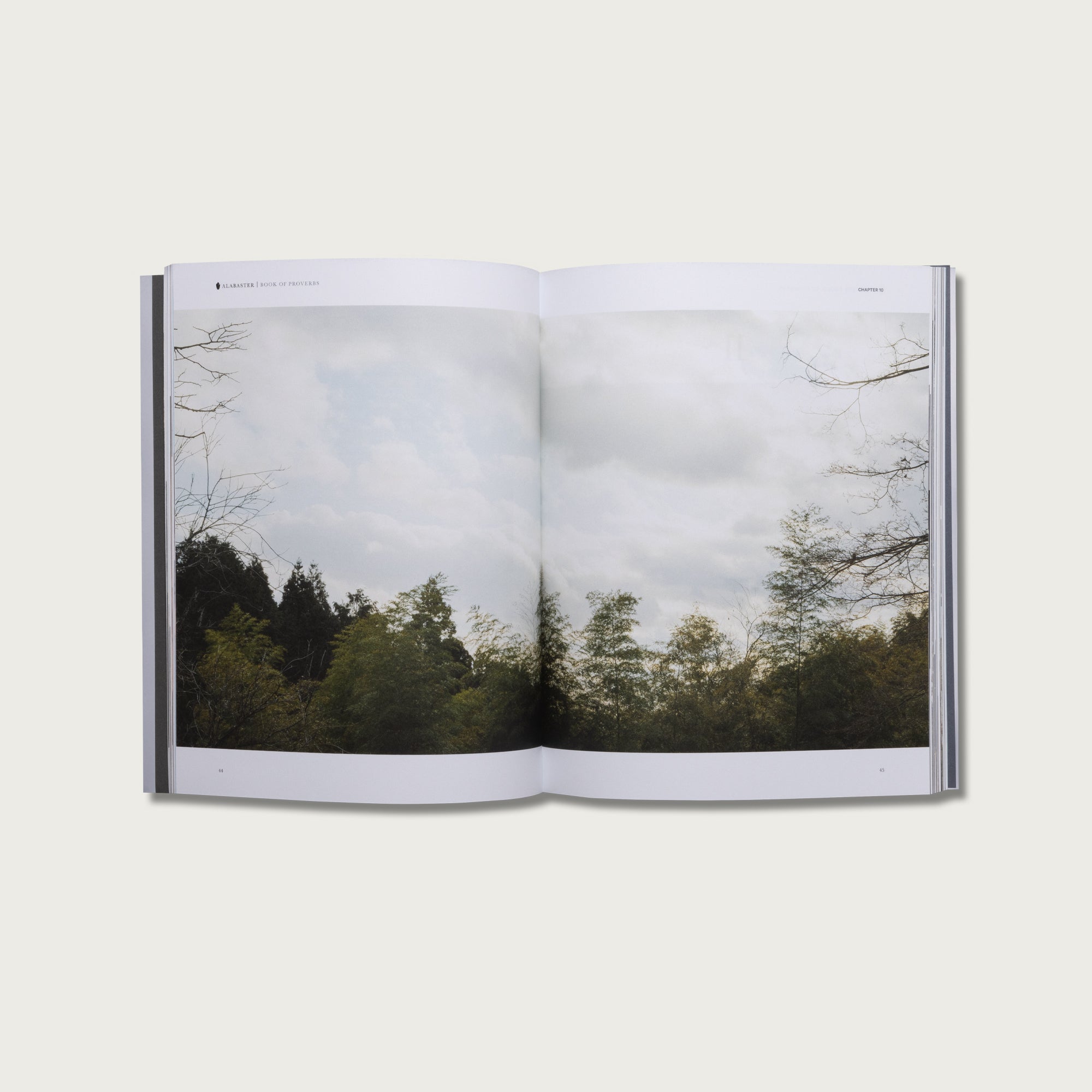 The Book of Proverbs