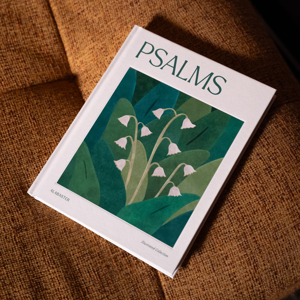 Psalms Illustrated Bible