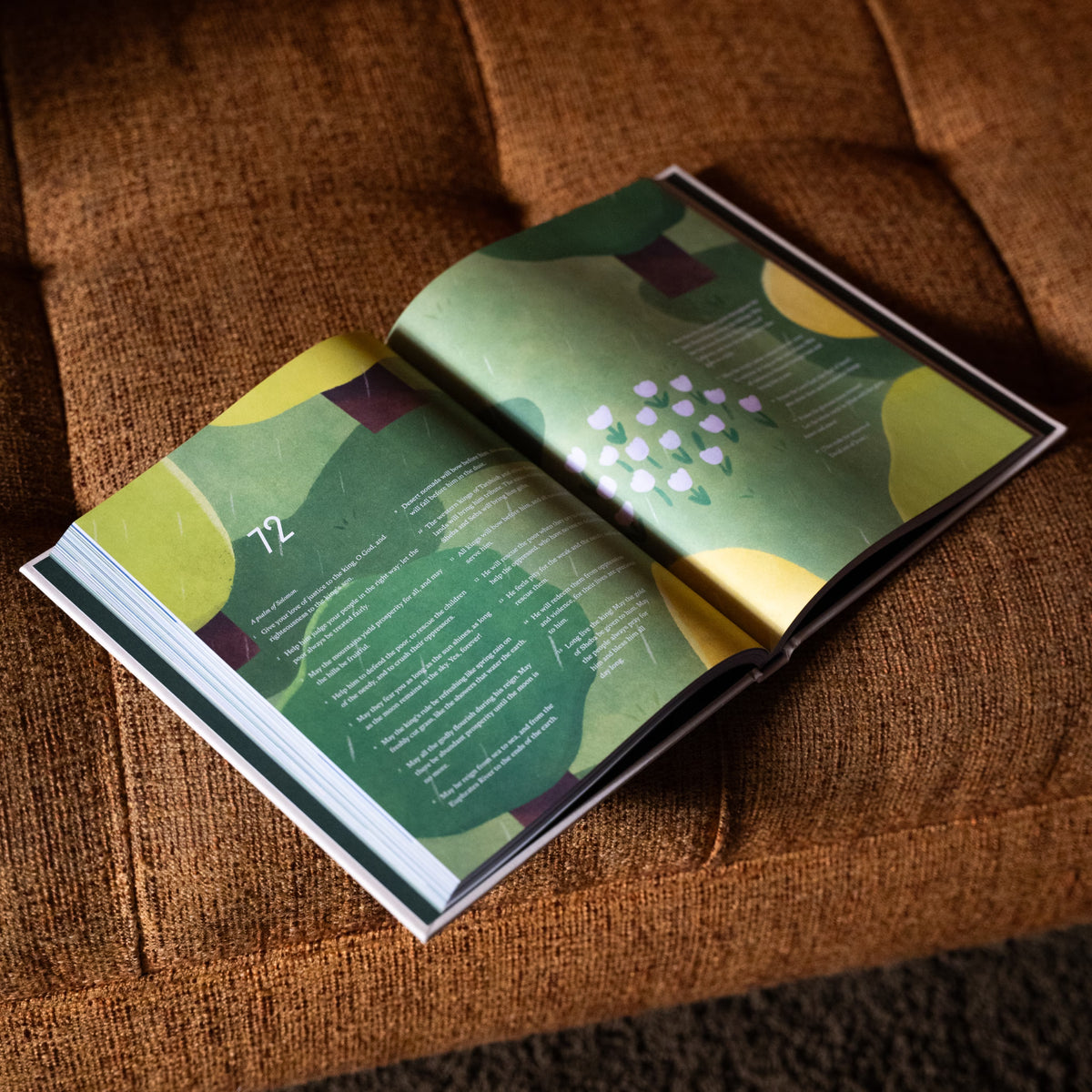 Psalms Illustrated Bible
