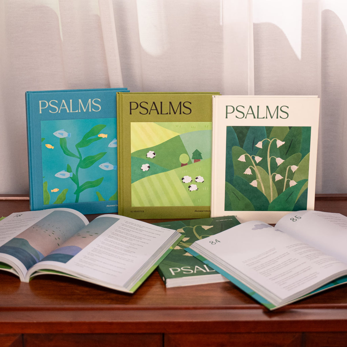 Psalms Illustrated Bible