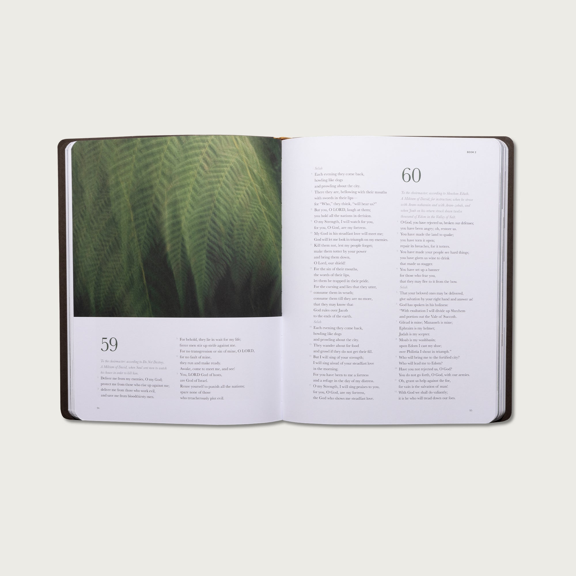 The Book of Psalms