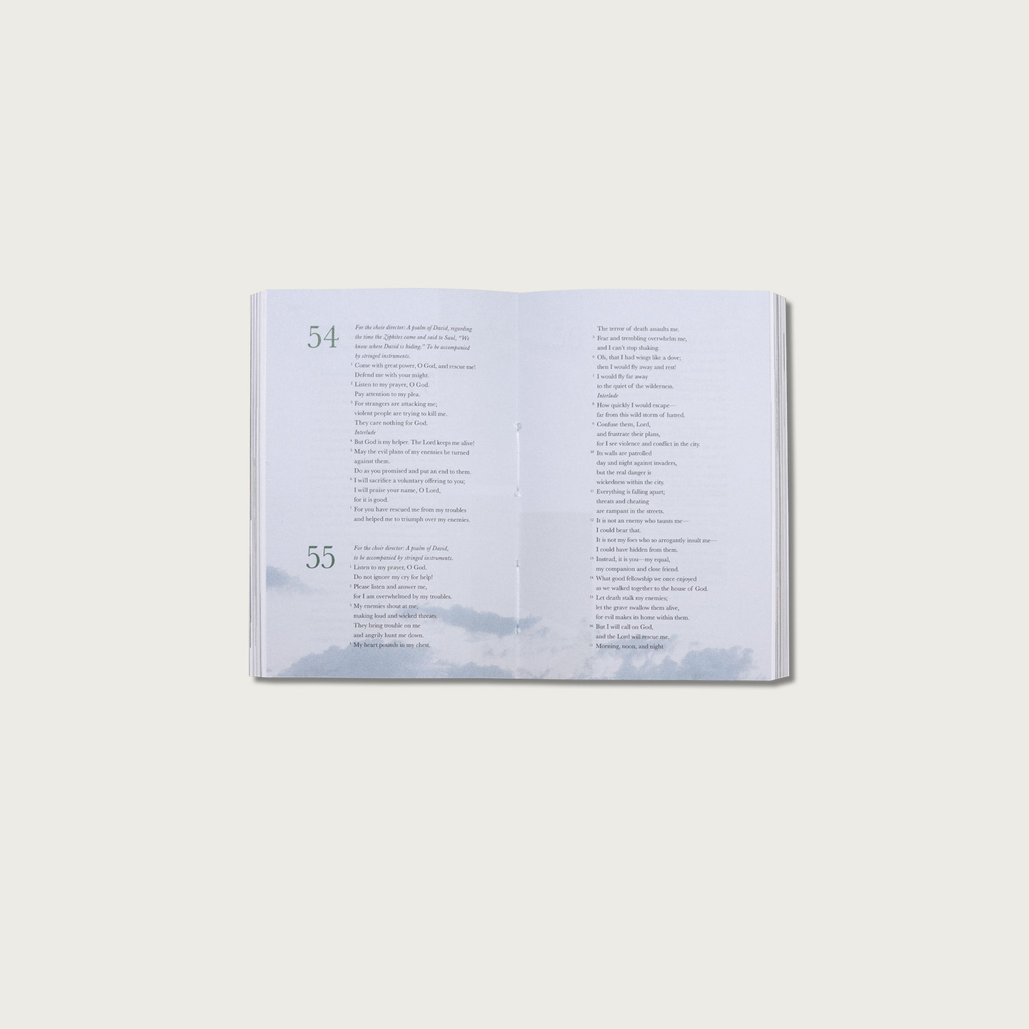 Mini Psalms Keychain Bundle