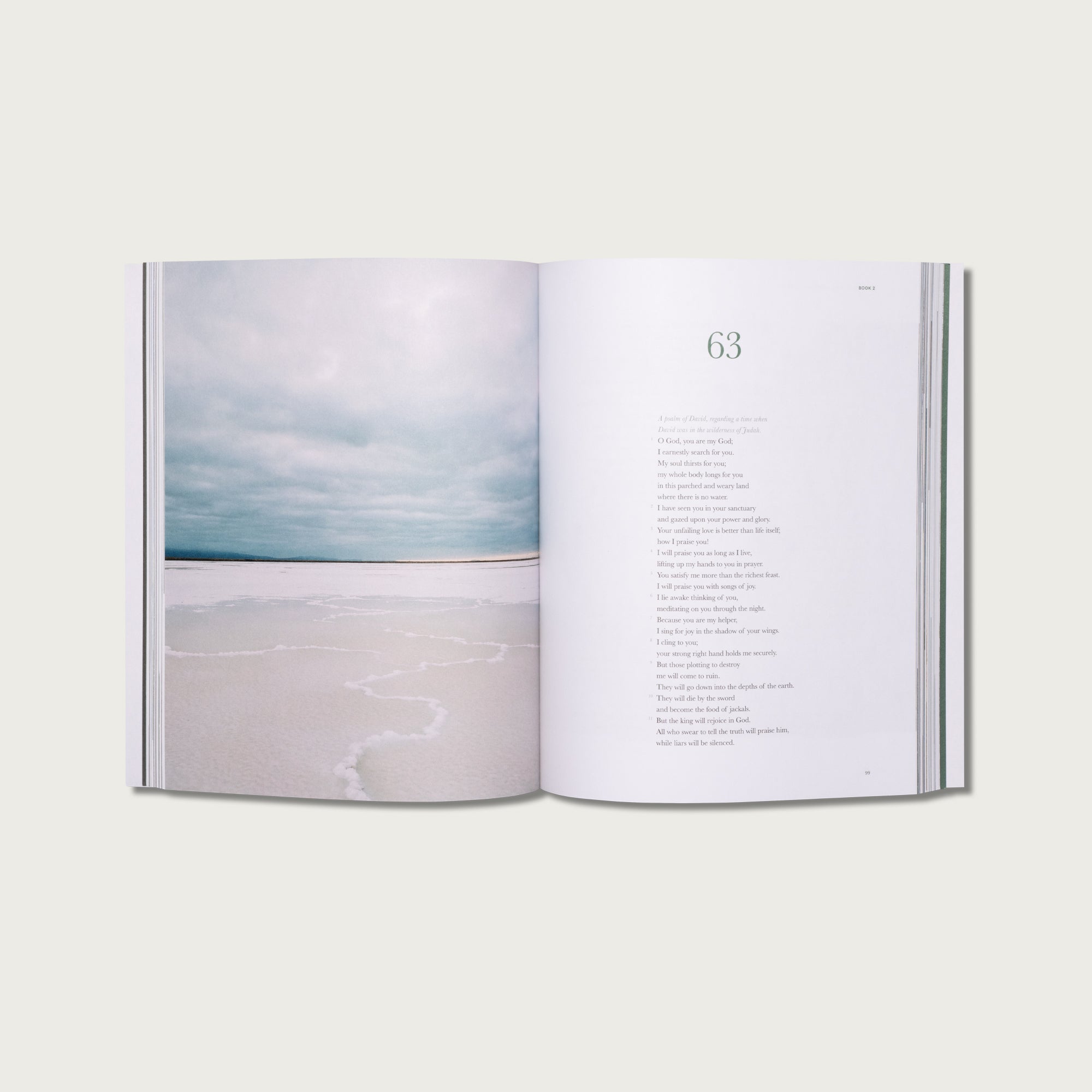 The Book of Psalms
