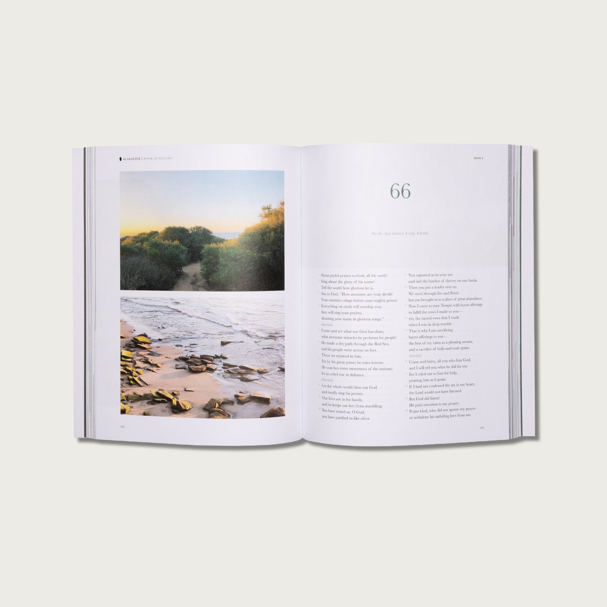The Book of Psalms