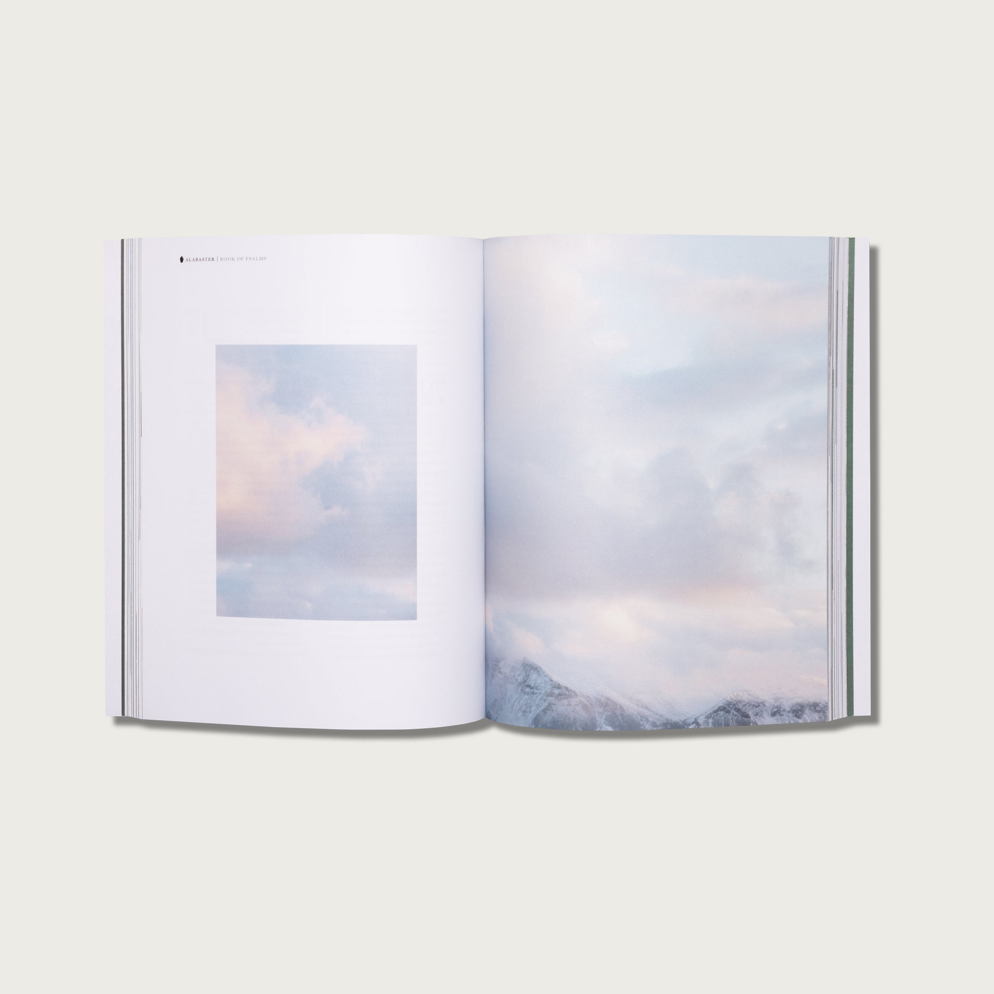The Book of Psalms