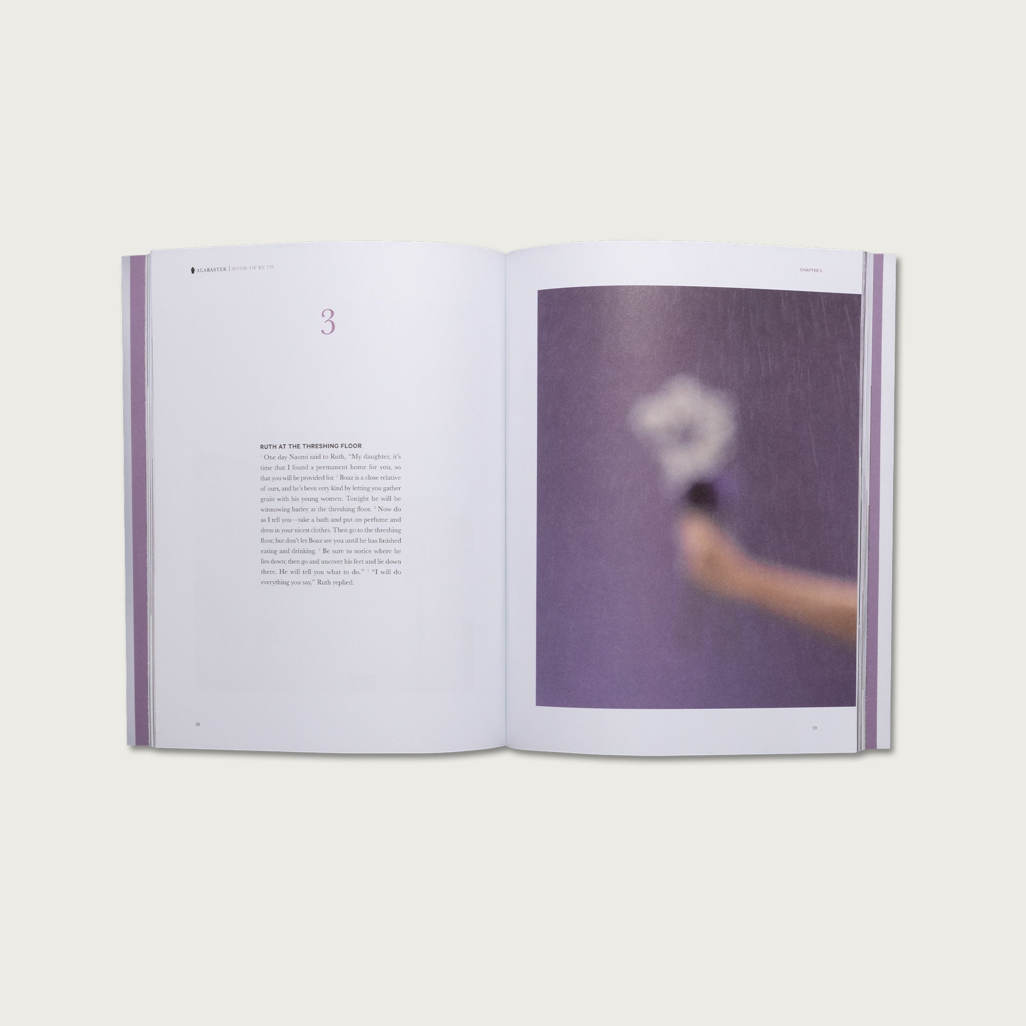 The Complete Bible Collection