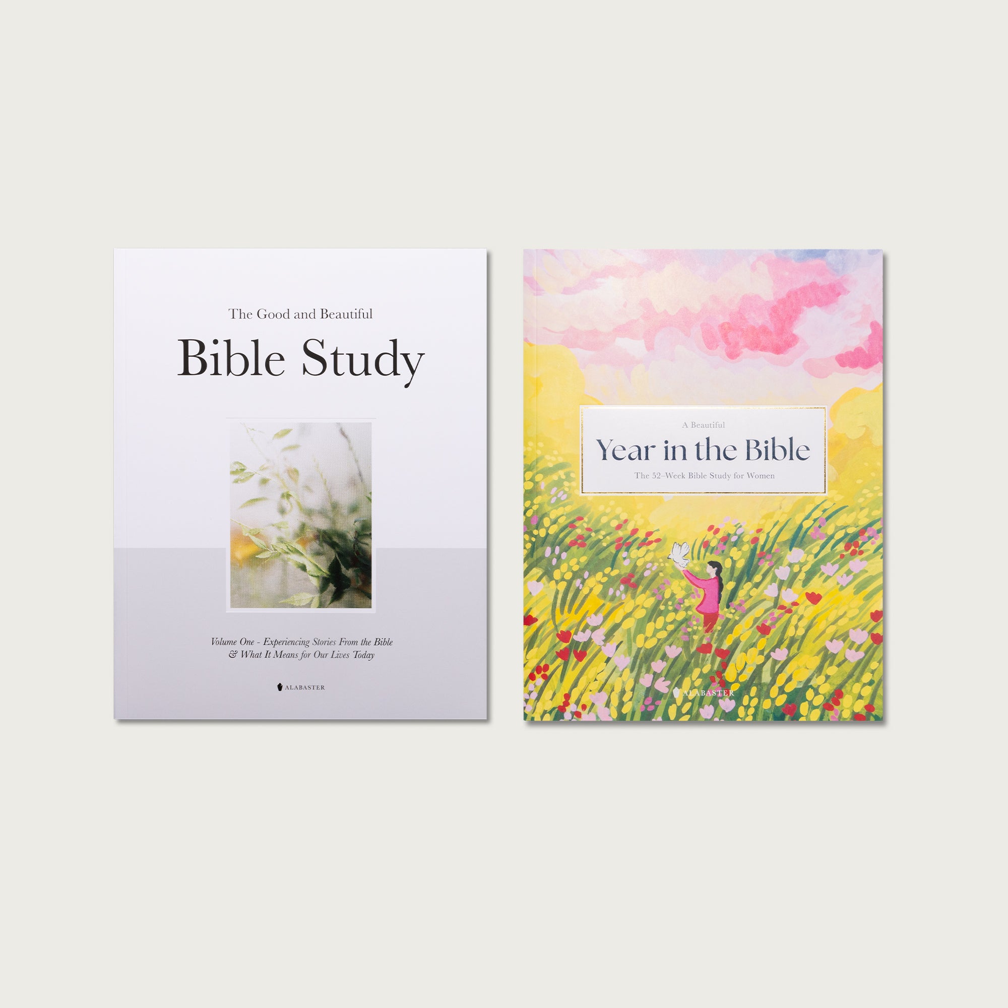 Bible Study Gift Set