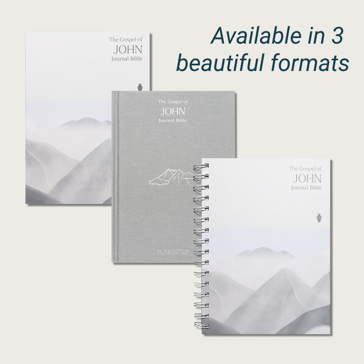 The Gospel of John Journal Bible