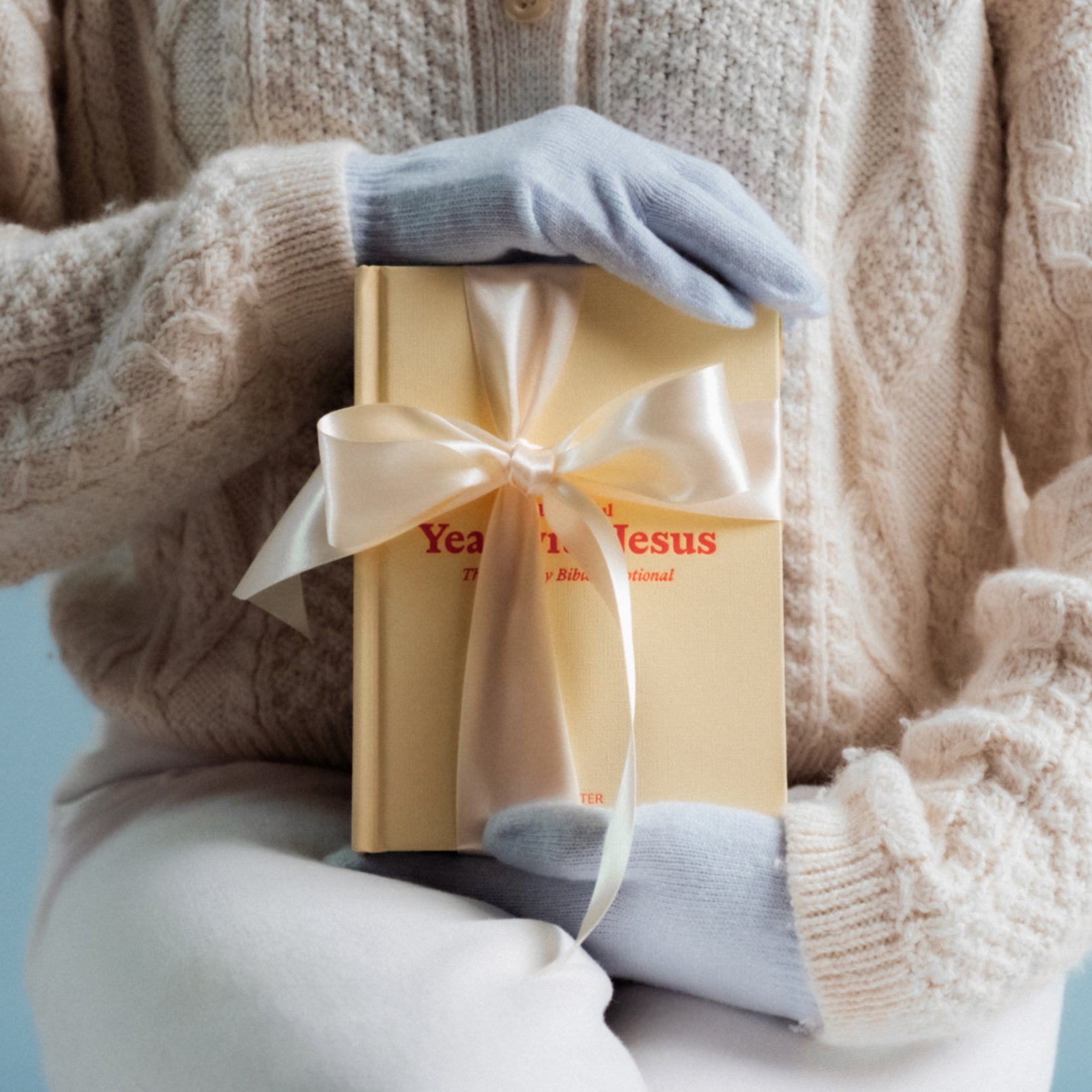 A Beautiful Year with Jesus: The 365 Day Bible Devotional