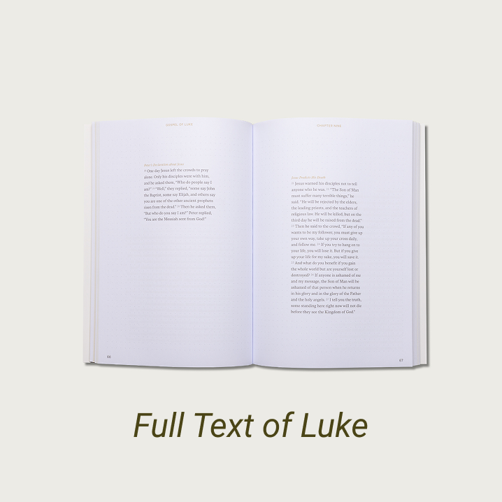 The Gospel of Luke Journal Bible