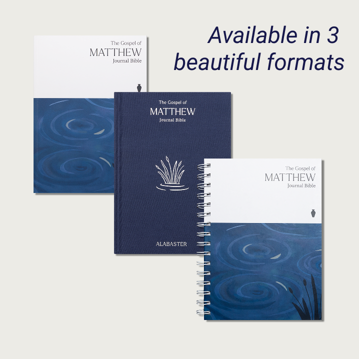 The Gospel of Matthew Journal Bible