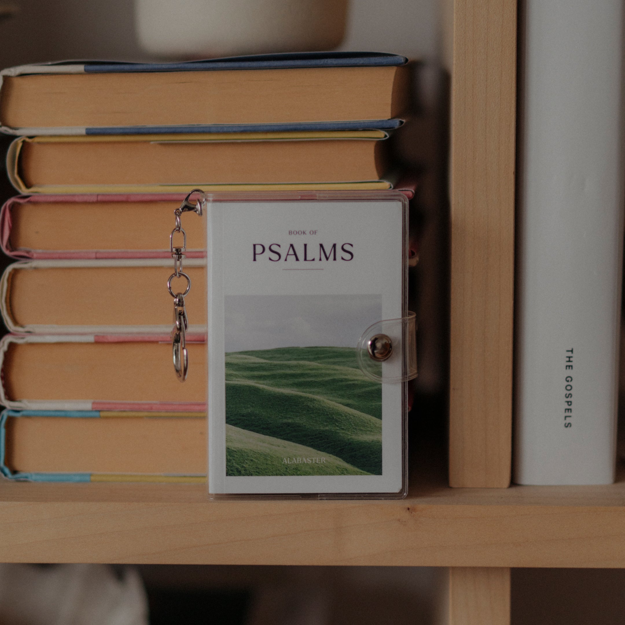 Mini Psalms Keychain Bundle