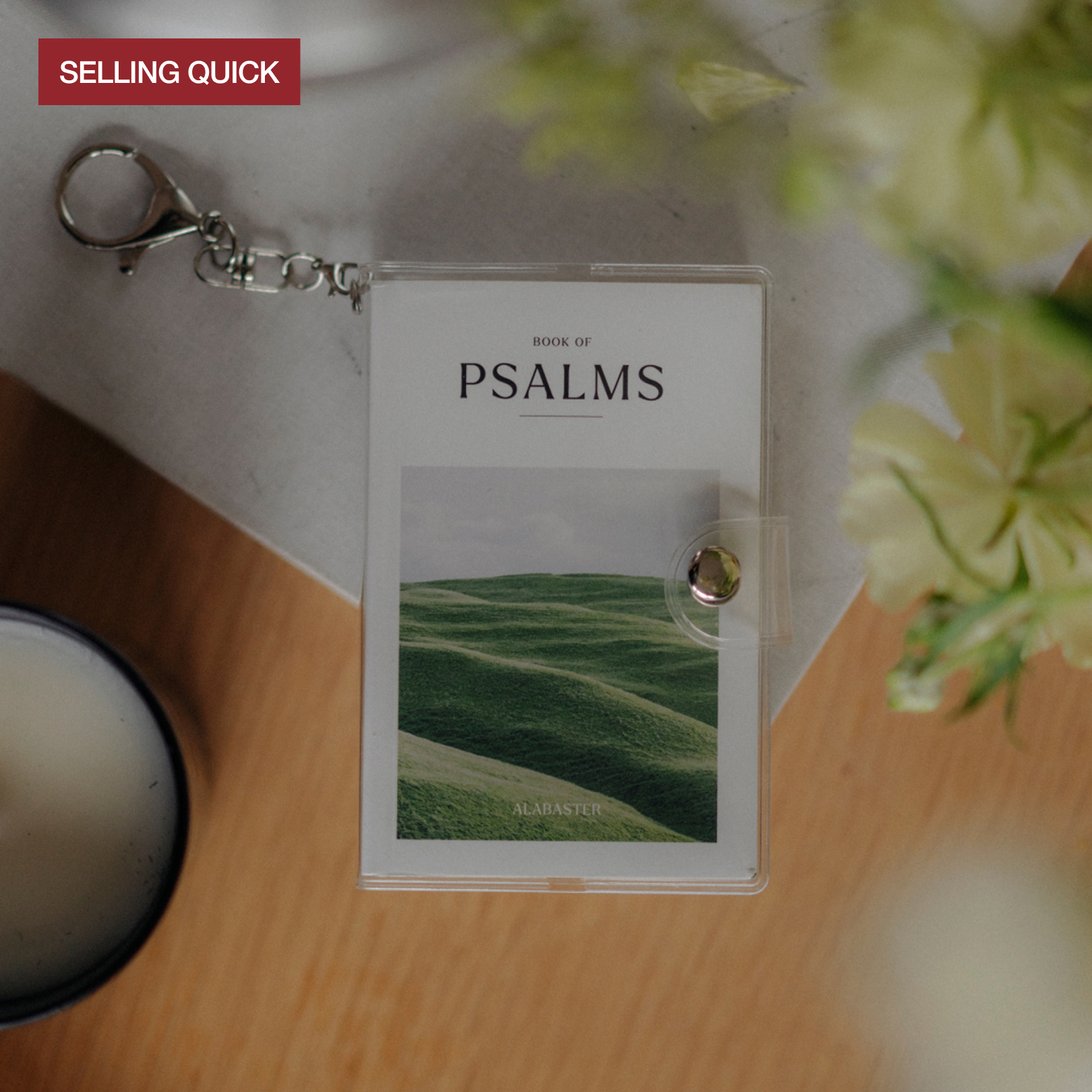 Mini Psalms Keychain Bundle