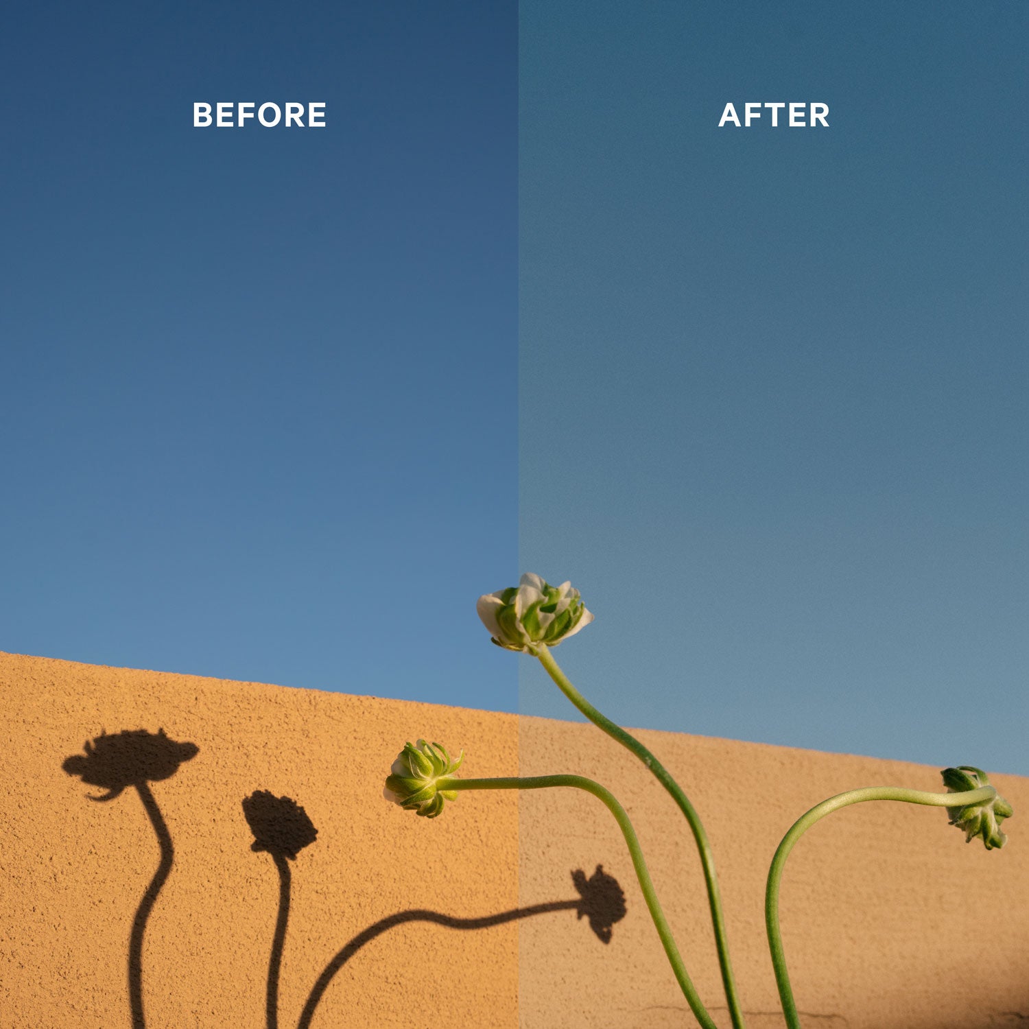 Alabaster Classics Presets