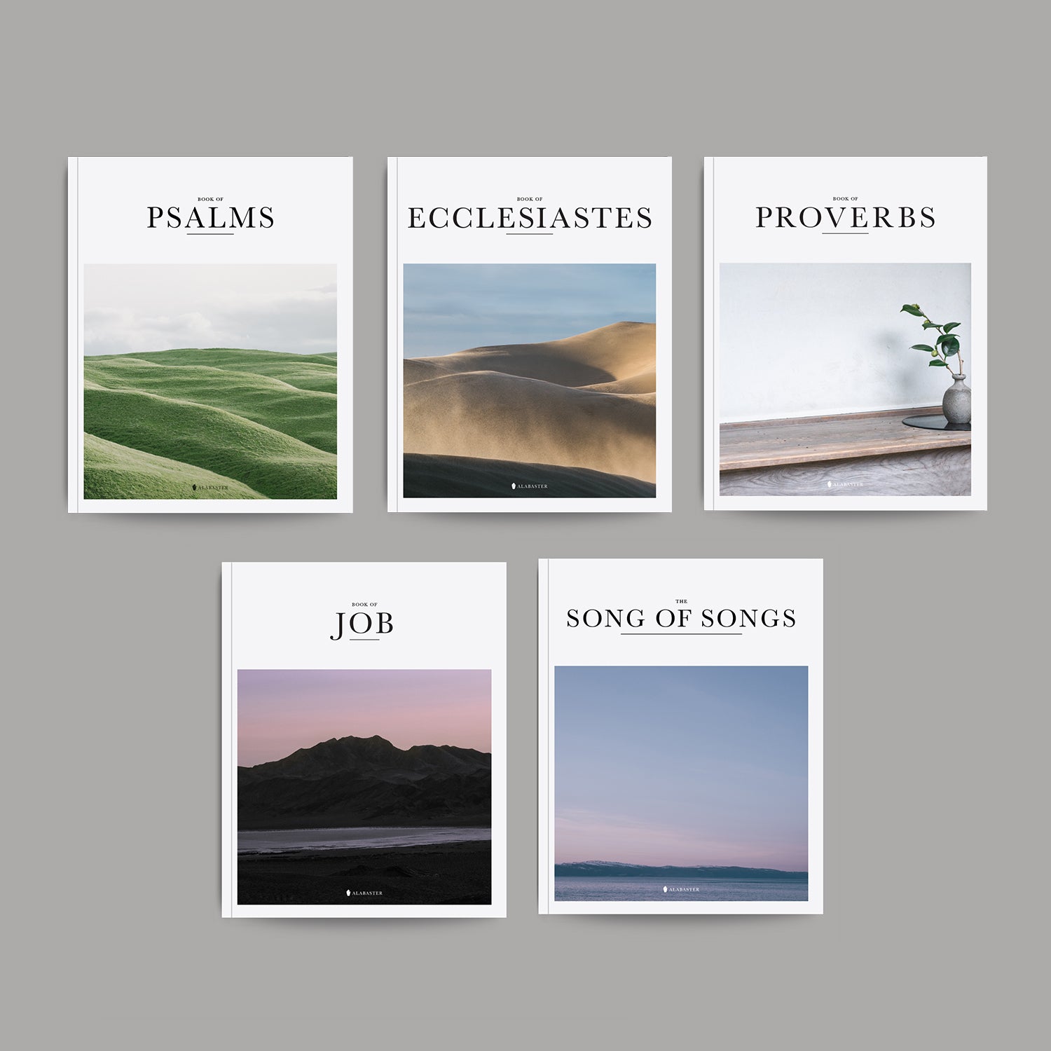 Wisdom Books of the Bible | Alabaster Co