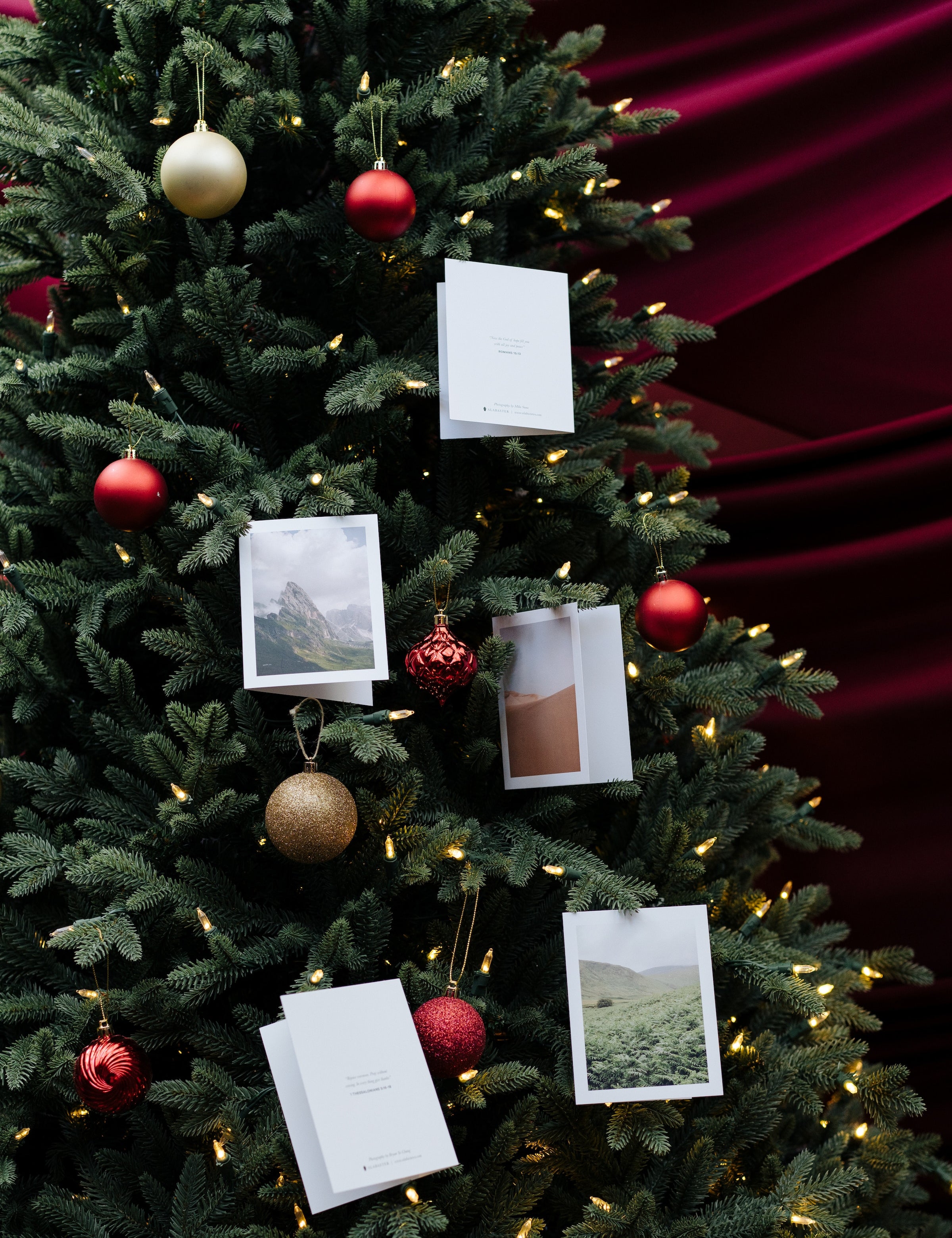Alabaster notecards adorning a Christmas tree