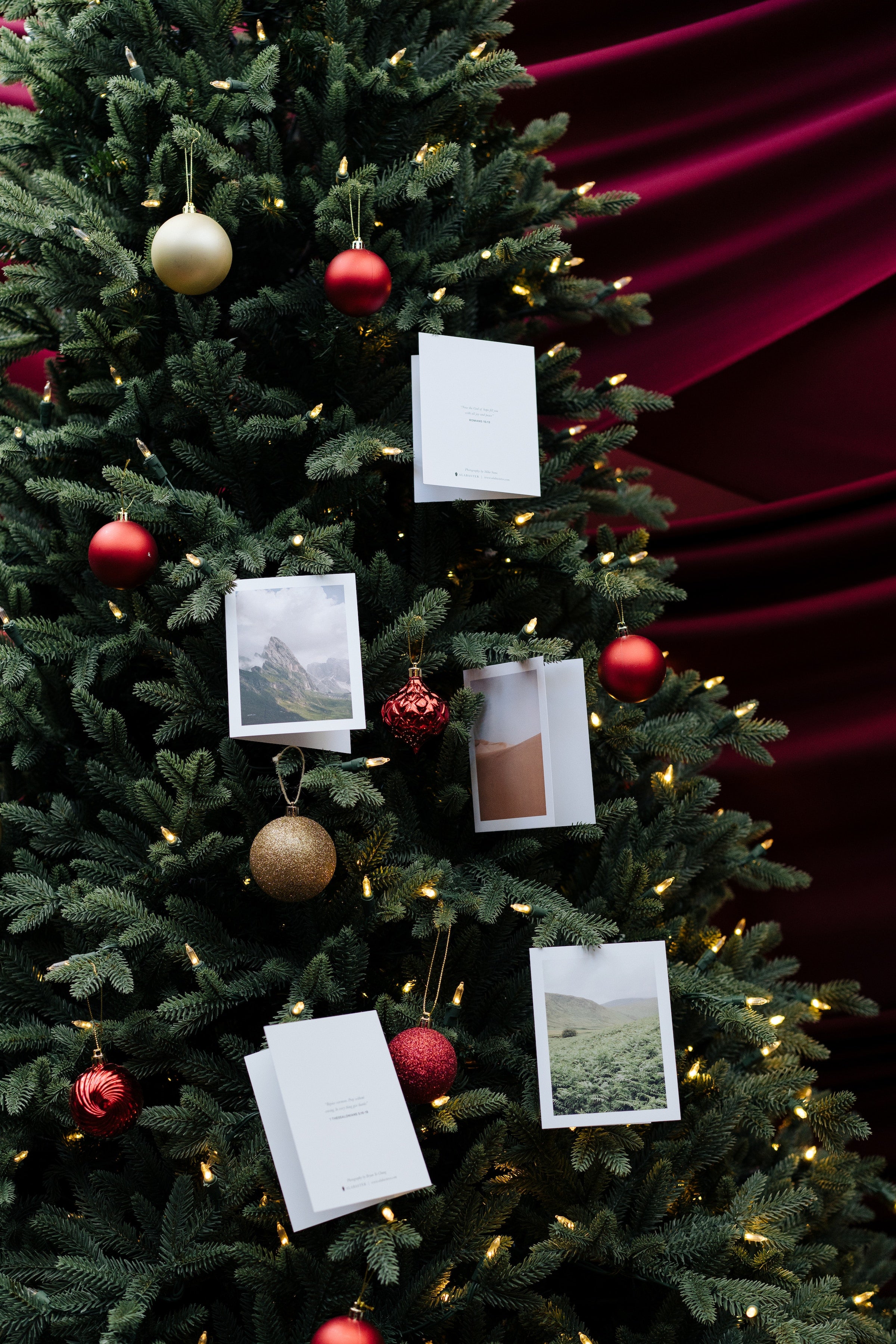 Alabaster notecards adorning a Christmas tree