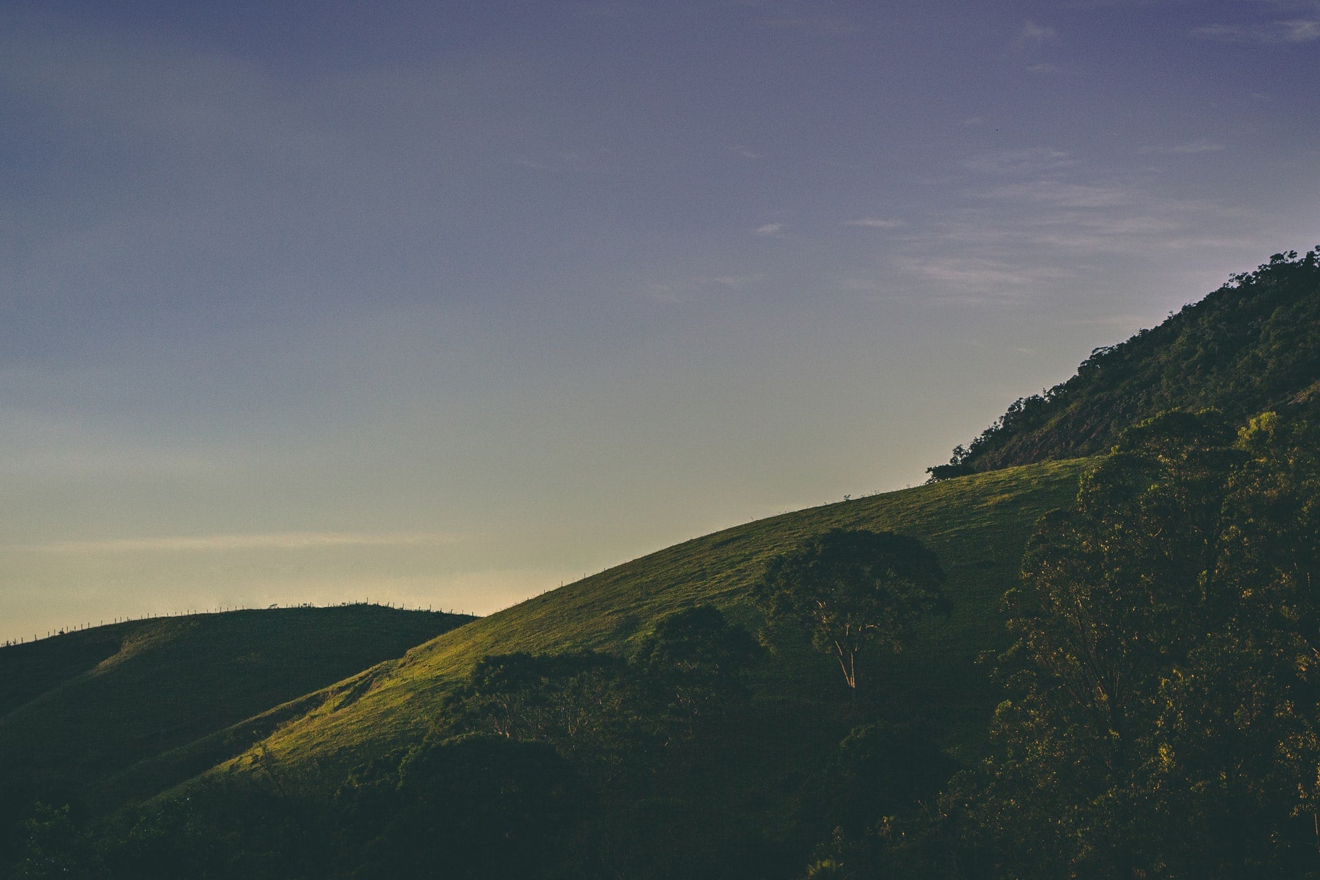 Hillside at dusk