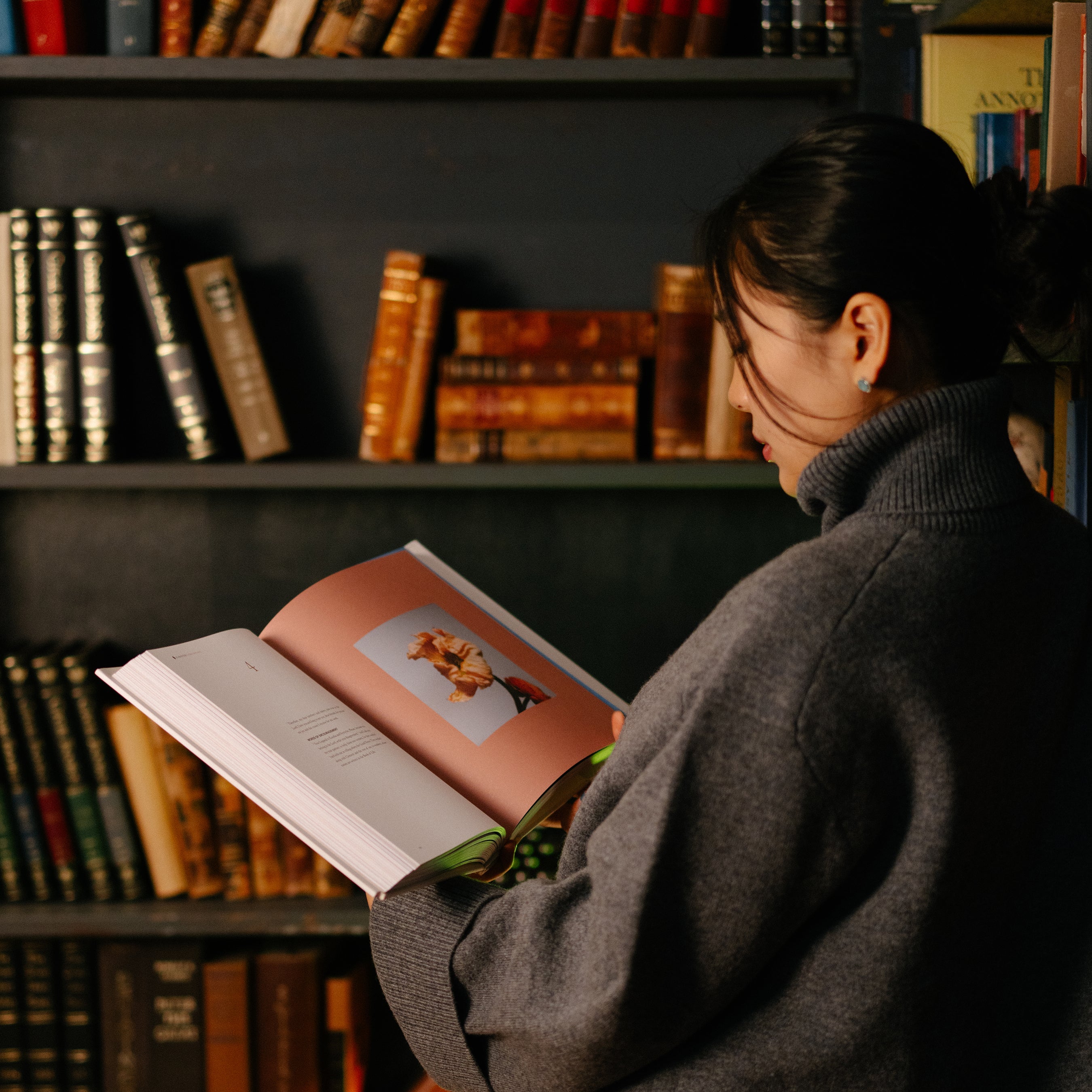 woman holding up the alabaster bible study