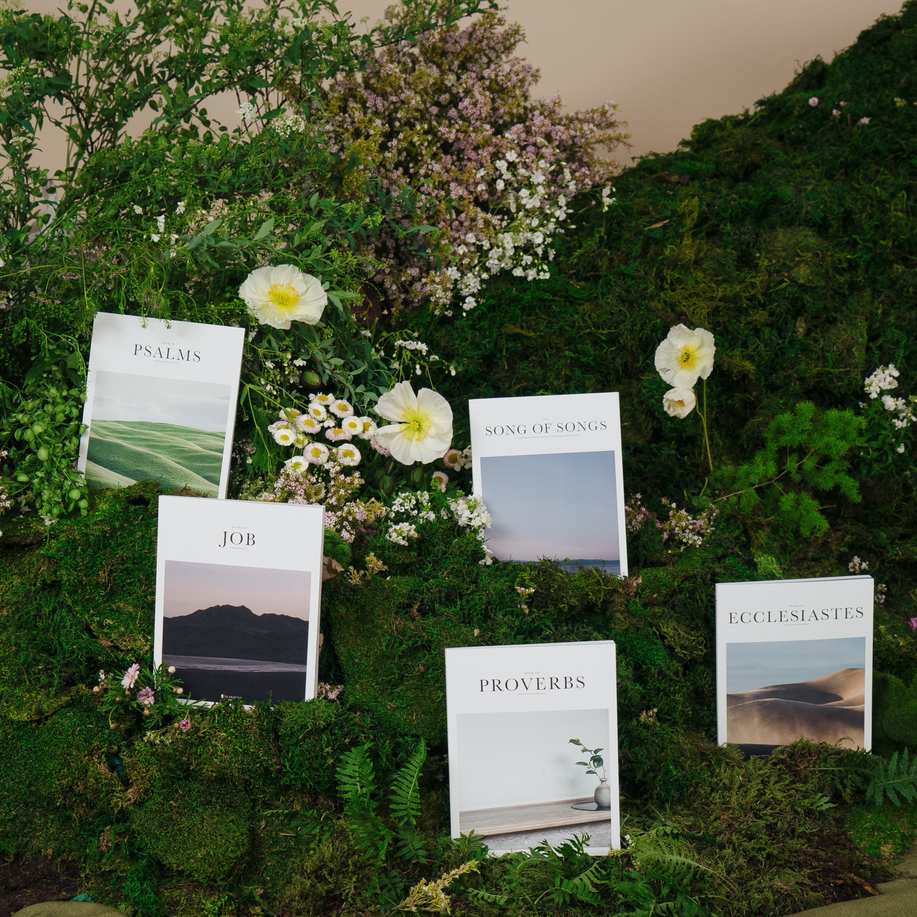 Alabaster Bible Books Esther and Ruth