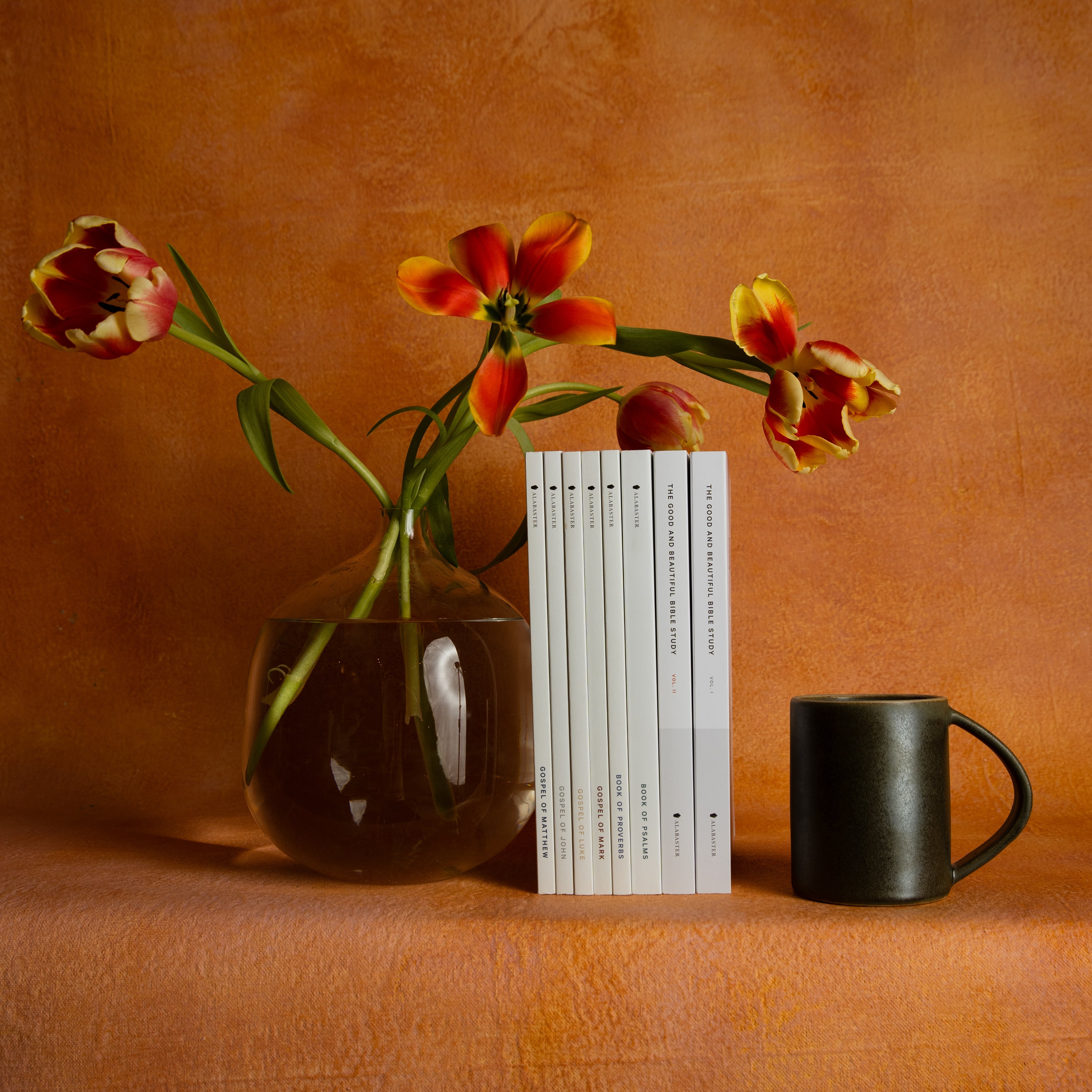 Alabaster Complete Bible Bundle