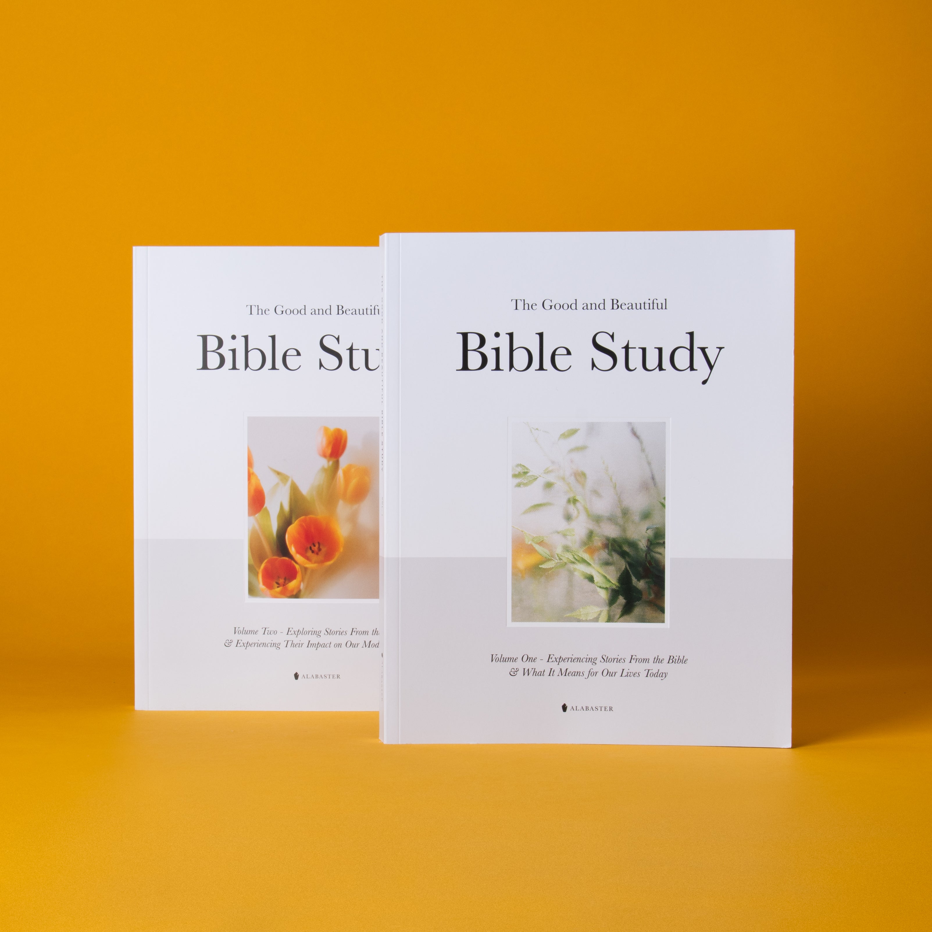 The Good and Beautiful Bible Studies - Bundle