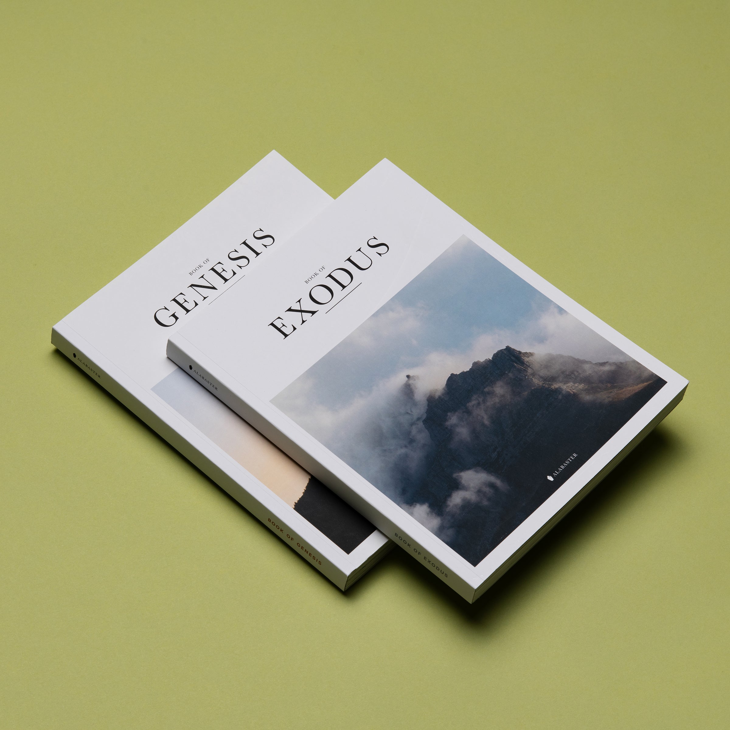 33_Genesis_Exodus_GreenFlatlay_a1_1x1_Nad_Loe.jpg