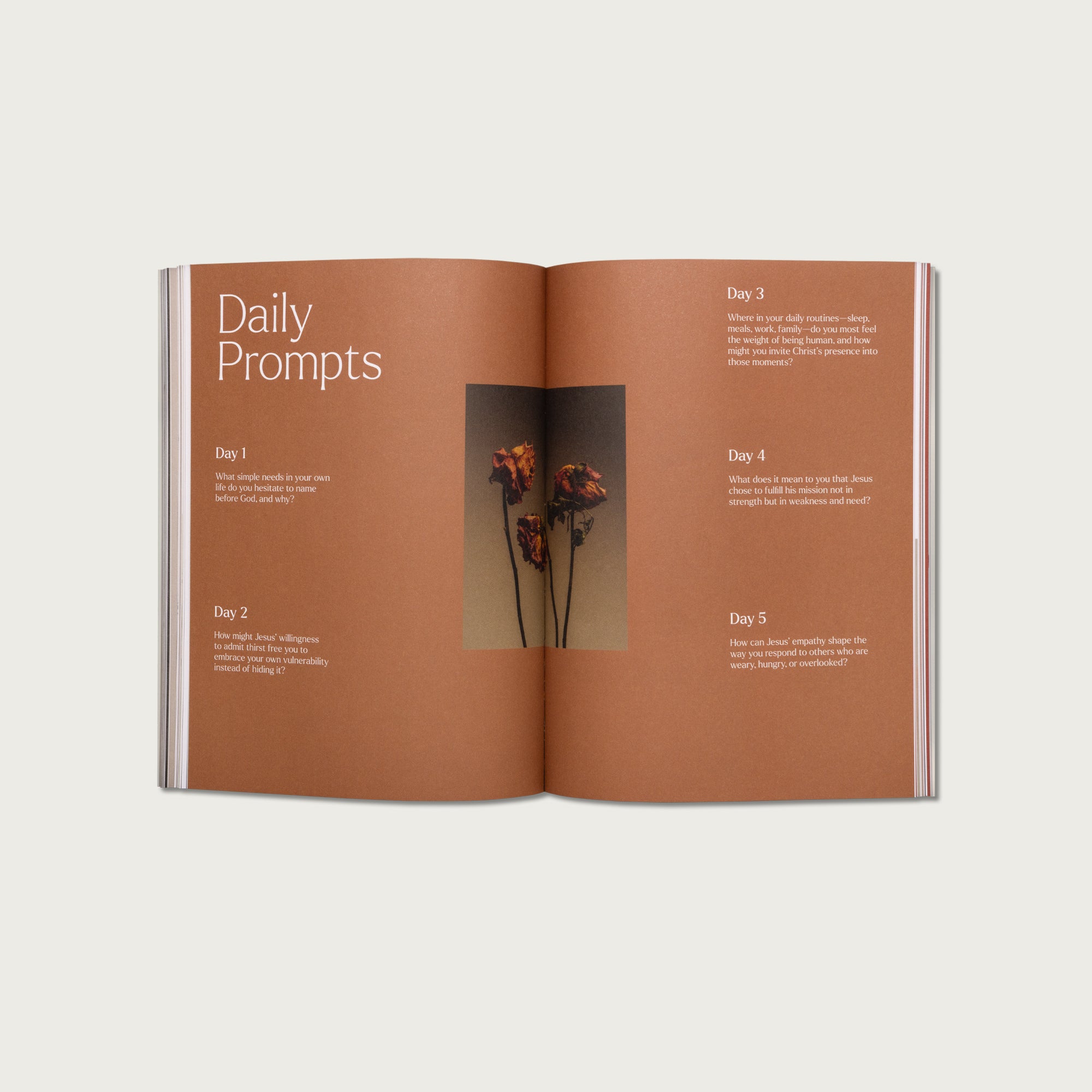 The 7 Last Sayings of Jesus: A 40-Day Bible Devotional for Journeying to the Cross