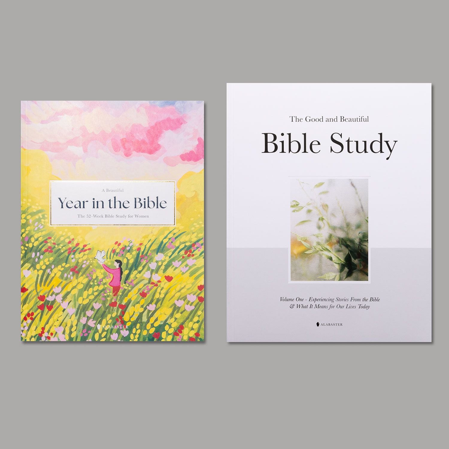 Study and Reflect Bundle