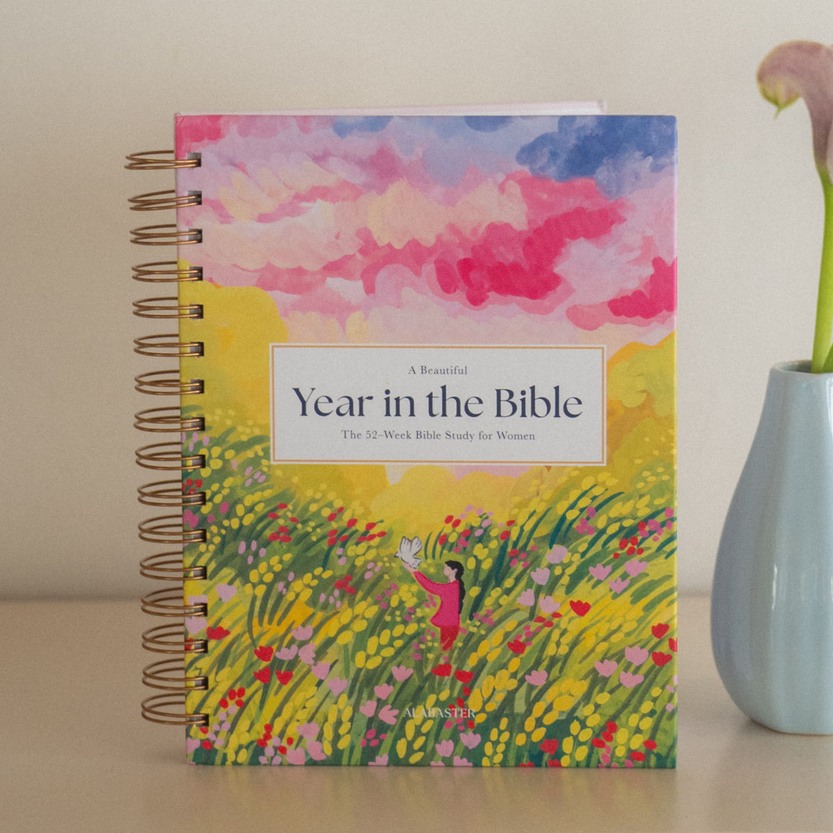 A Beautiful Year in the Bible