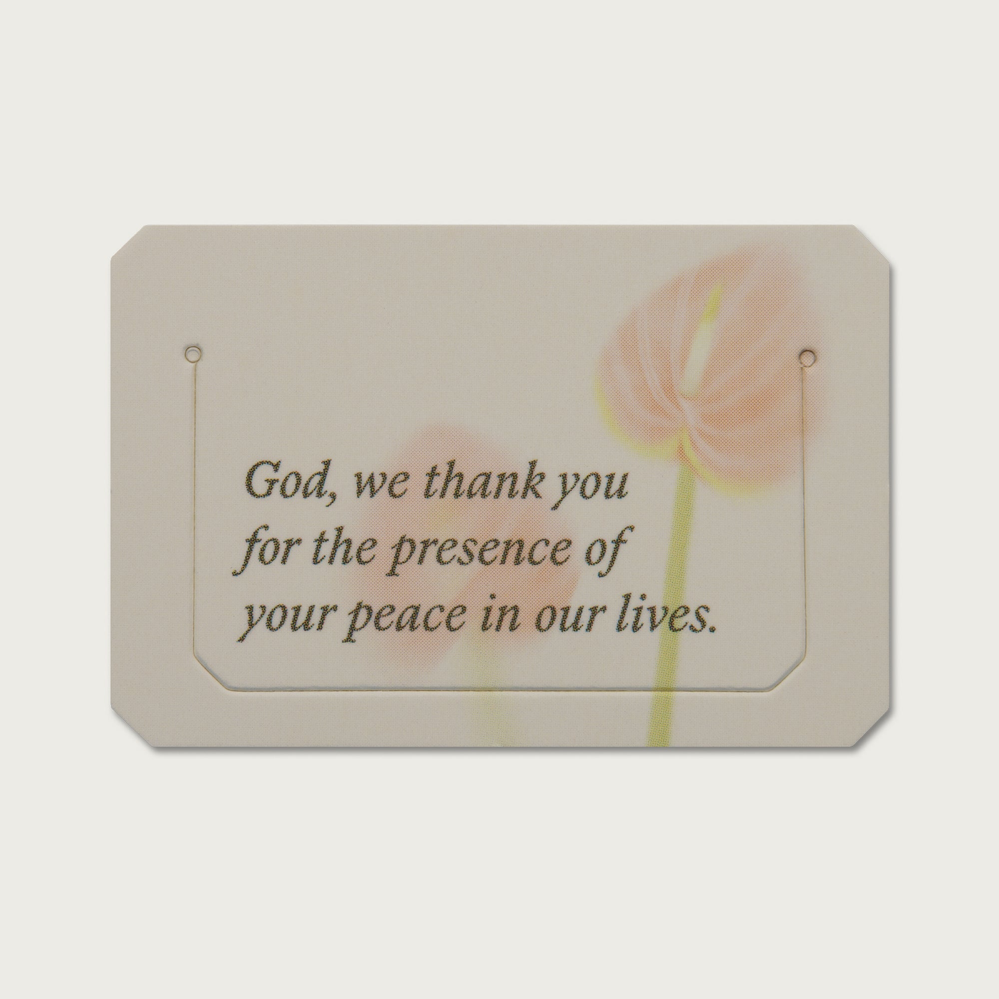 A Beautiful Year with Jesus Bookmark Tabs