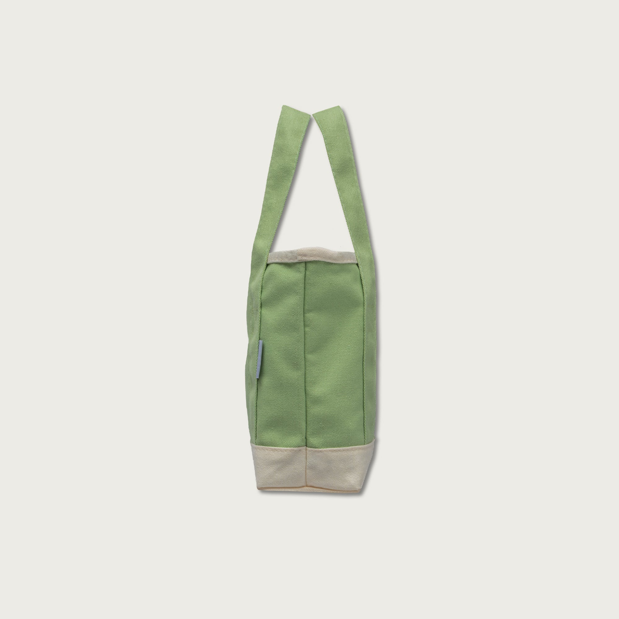 A Beautiful Year with Jesus Mini Canvas Tote Bag