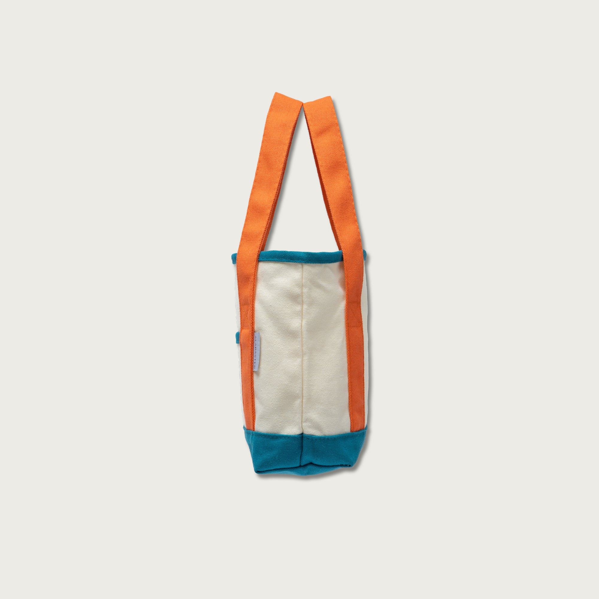 A Beautiful Year with Jesus Mini Canvas Tote Bag