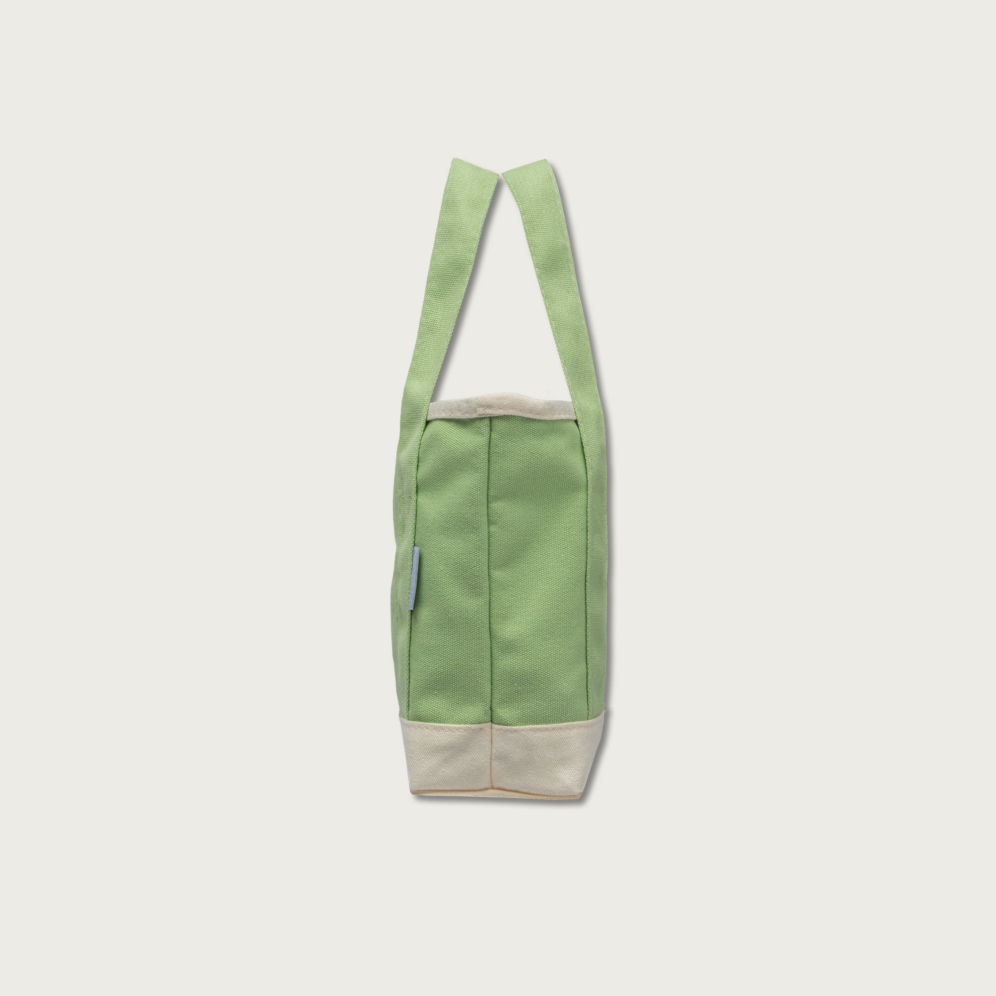 A Beautiful Year with Jesus Mini Canvas Tote Bag