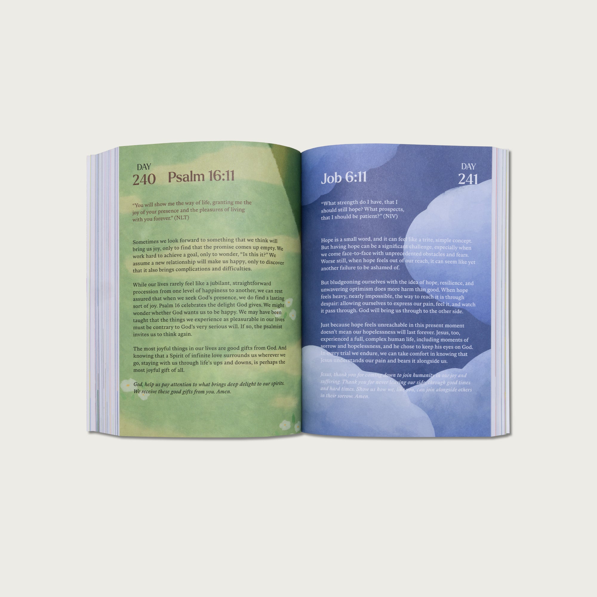 A Beautiful Year with Jesus: The 365 Day Bible Devotional
