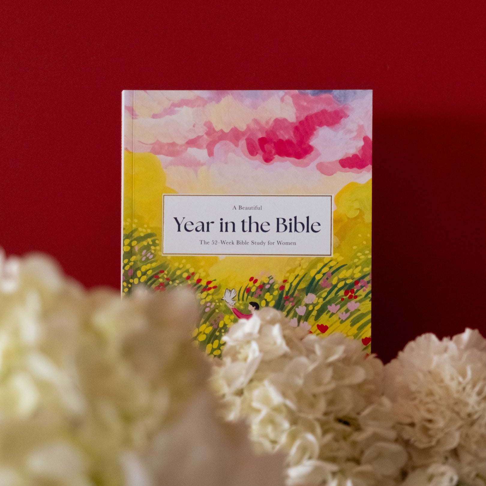 A Beautiful Year in the Bible: The 52-Week Bible Study for Women