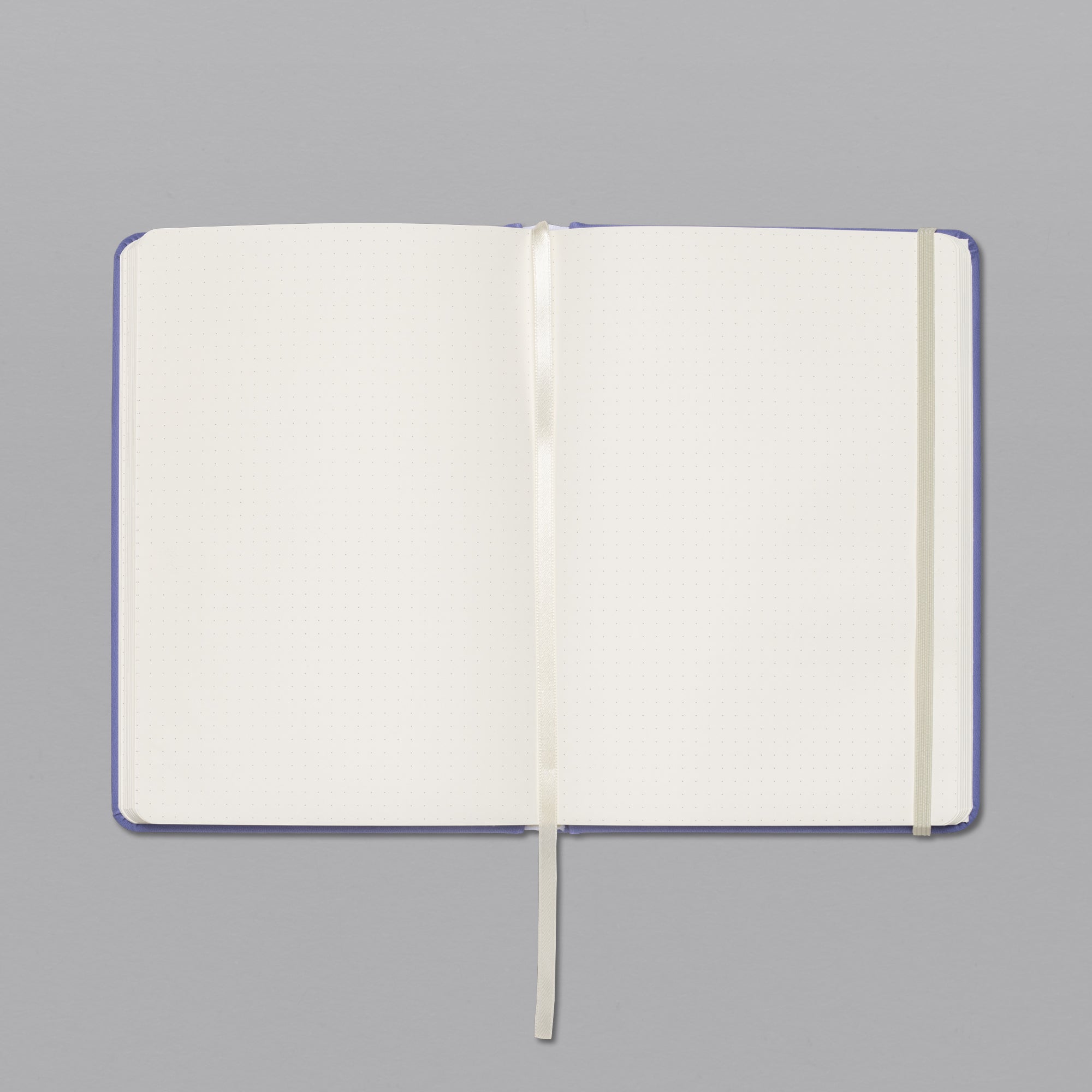 A Beautiful Year Bullet Journal – Alabaster Co