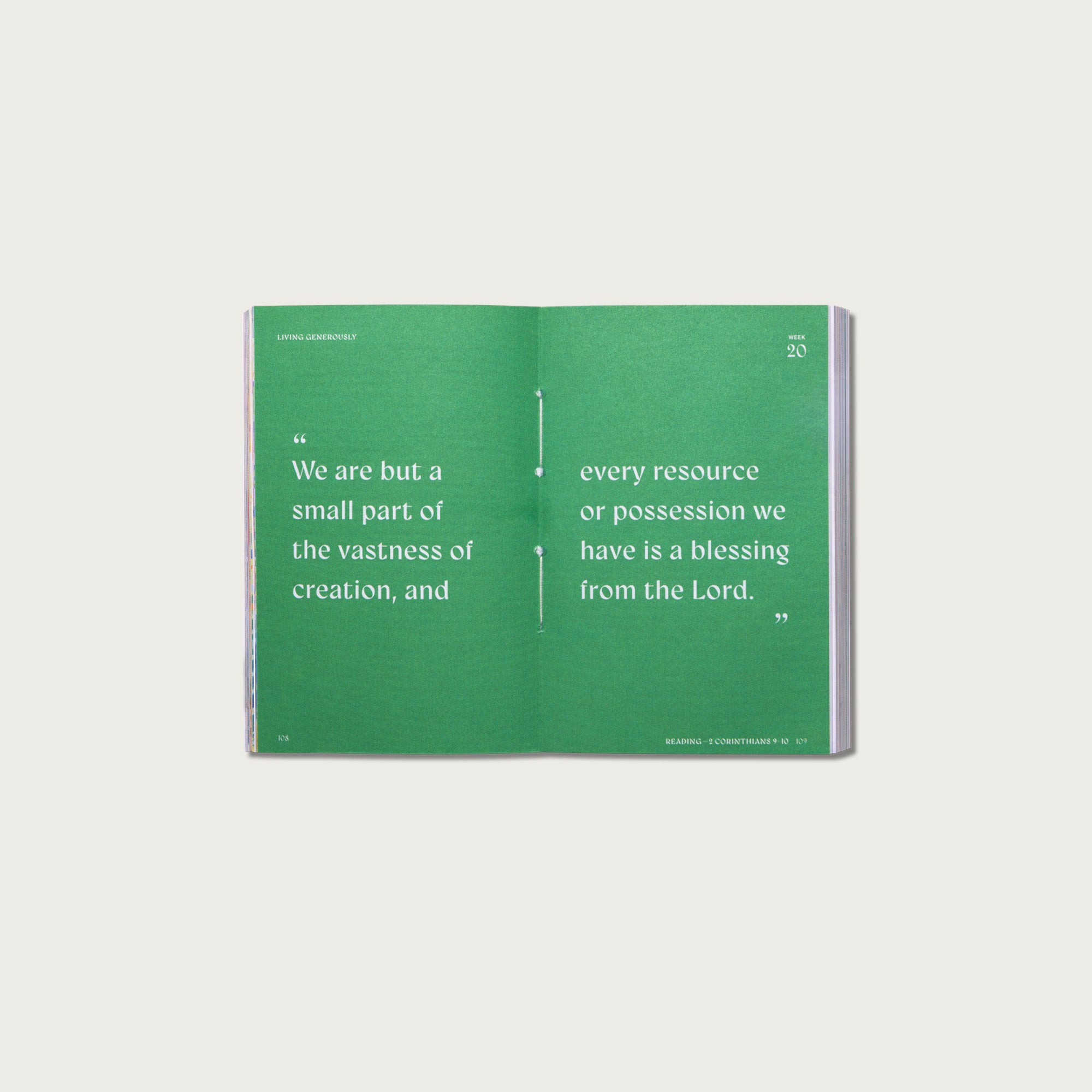 A Beautiful Year in the Bible: The 52-Week Bible Study for Women