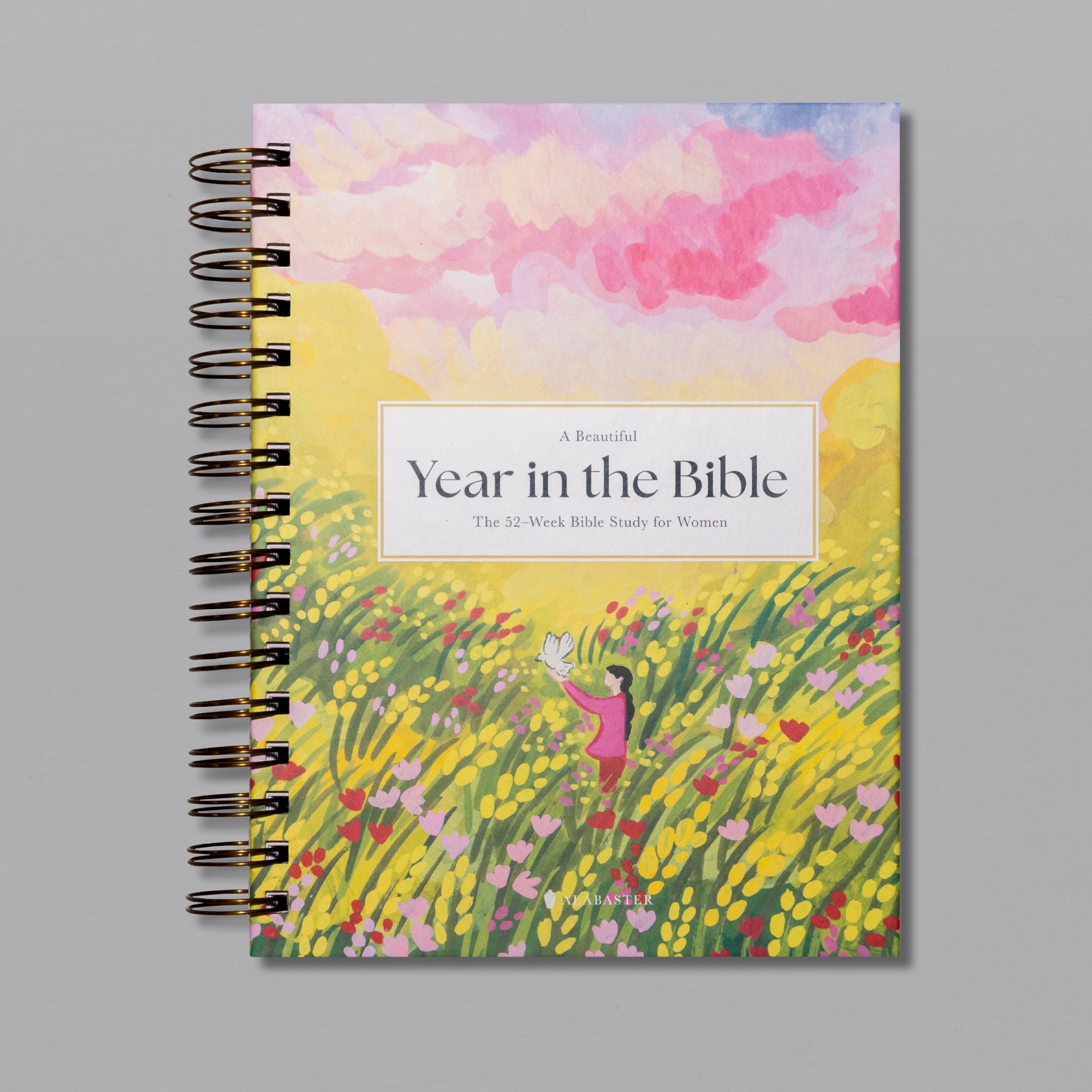 A Beautiful Year in the Bible: The 52-Week Bible Study for Women ...