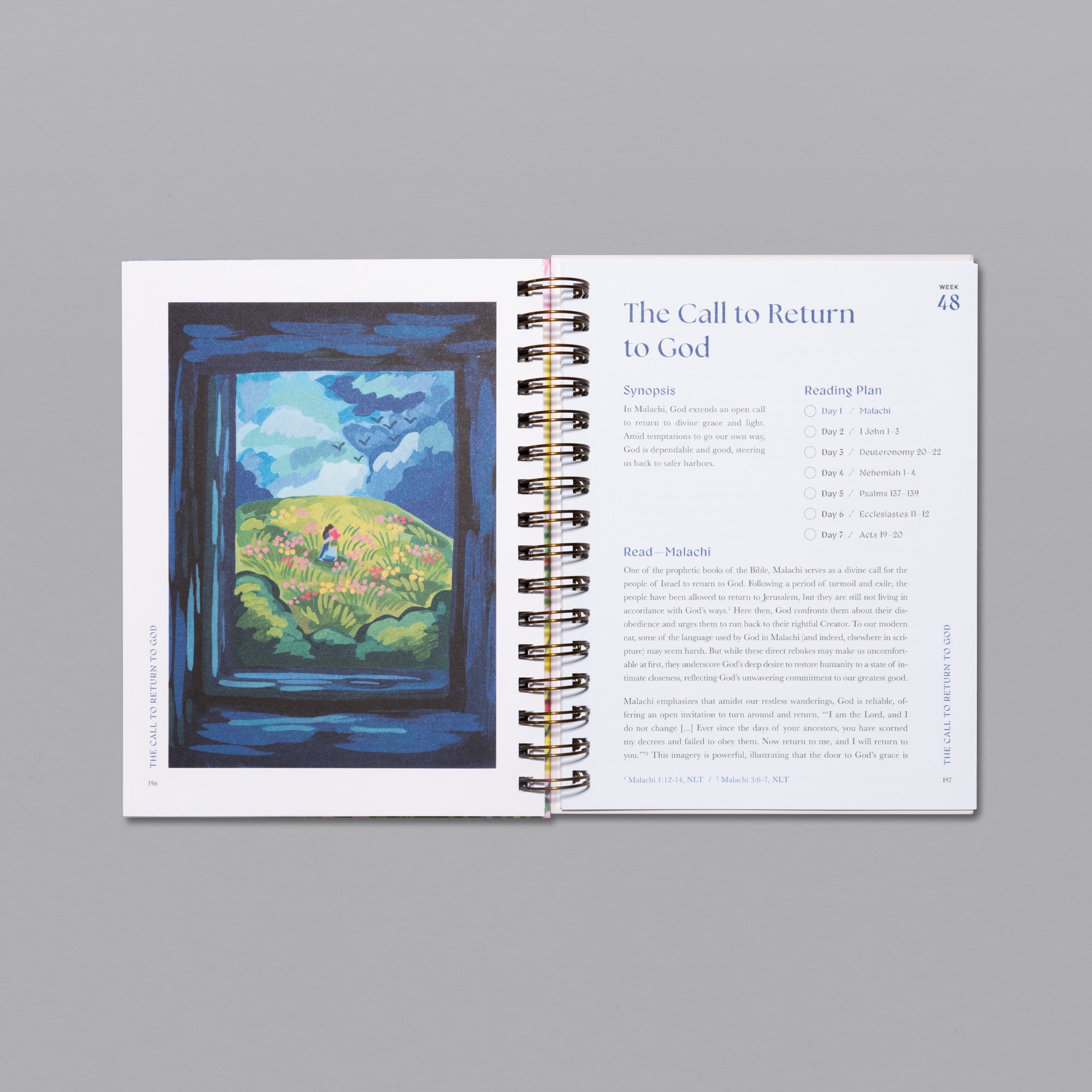 A Beautiful Year in the Bible: The 52-Week Bible Study for Women ...