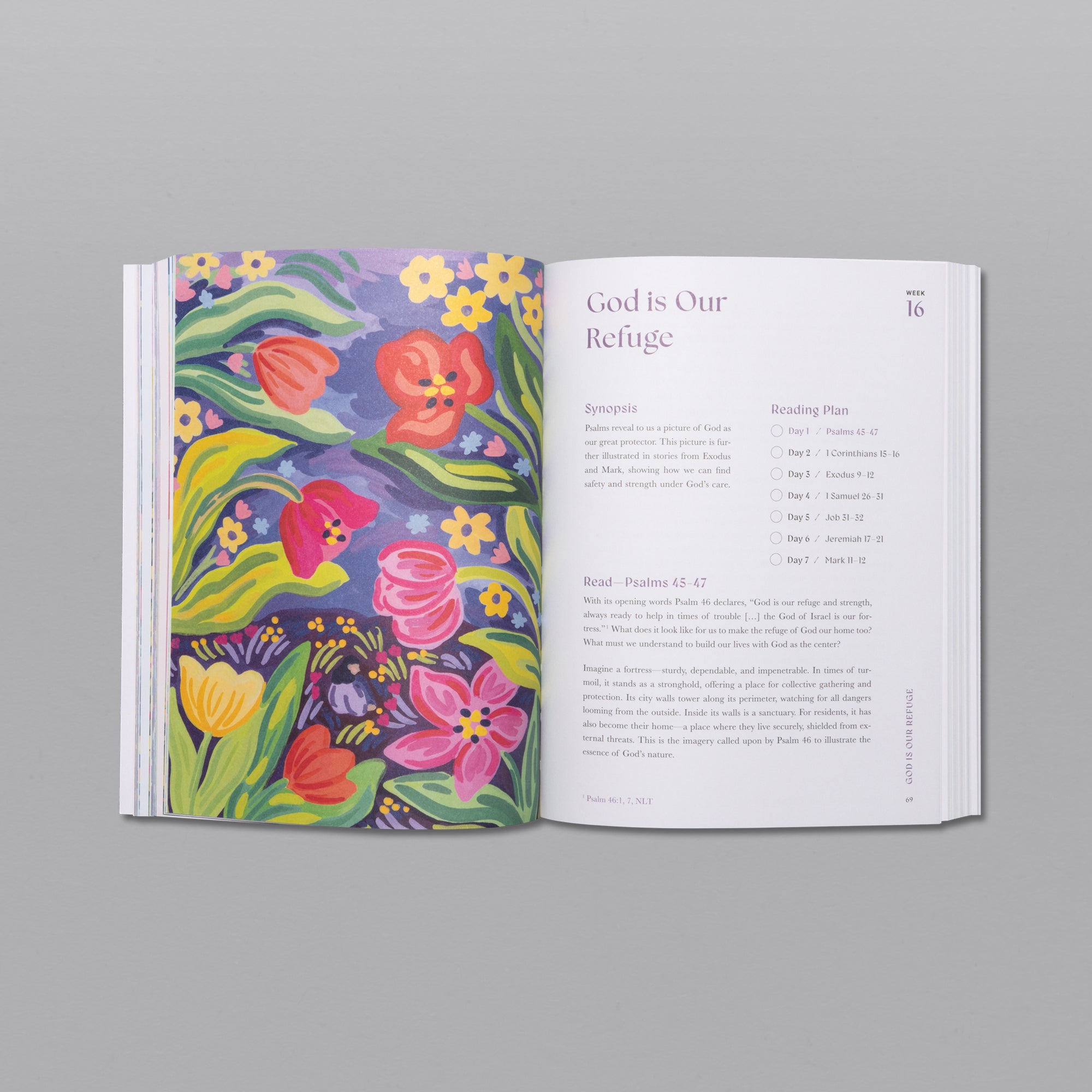 A Beautiful Year in the Bible: The 52-Week Bible Study for Women ...