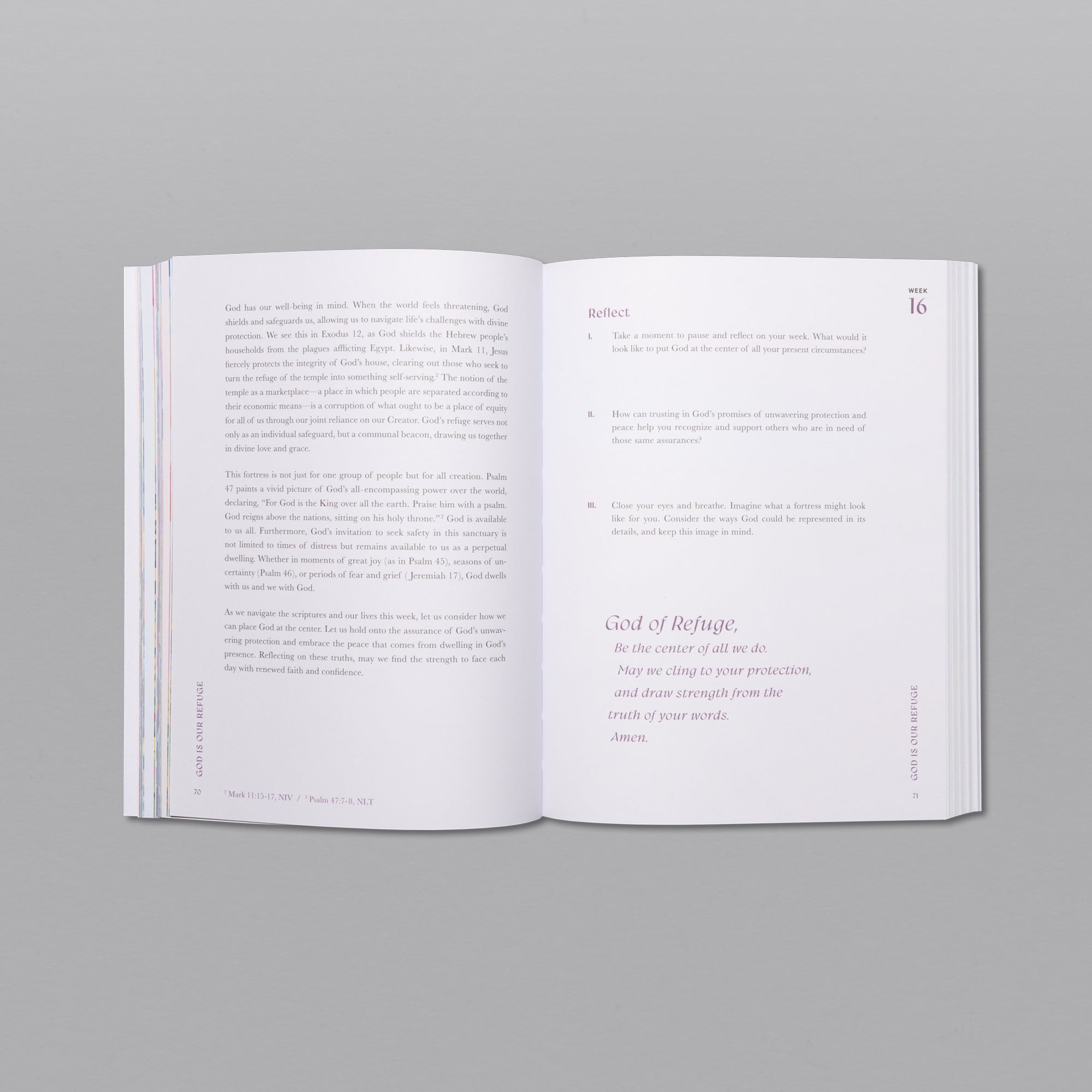 A Beautiful Year In The Bible The 52 Week Bible Study For Women A beautiful year in the bible the 52 week bible study for women