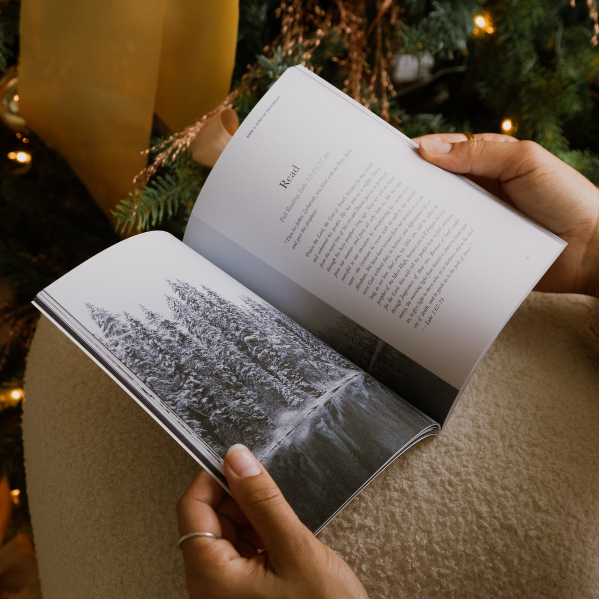 The Advent Devotional