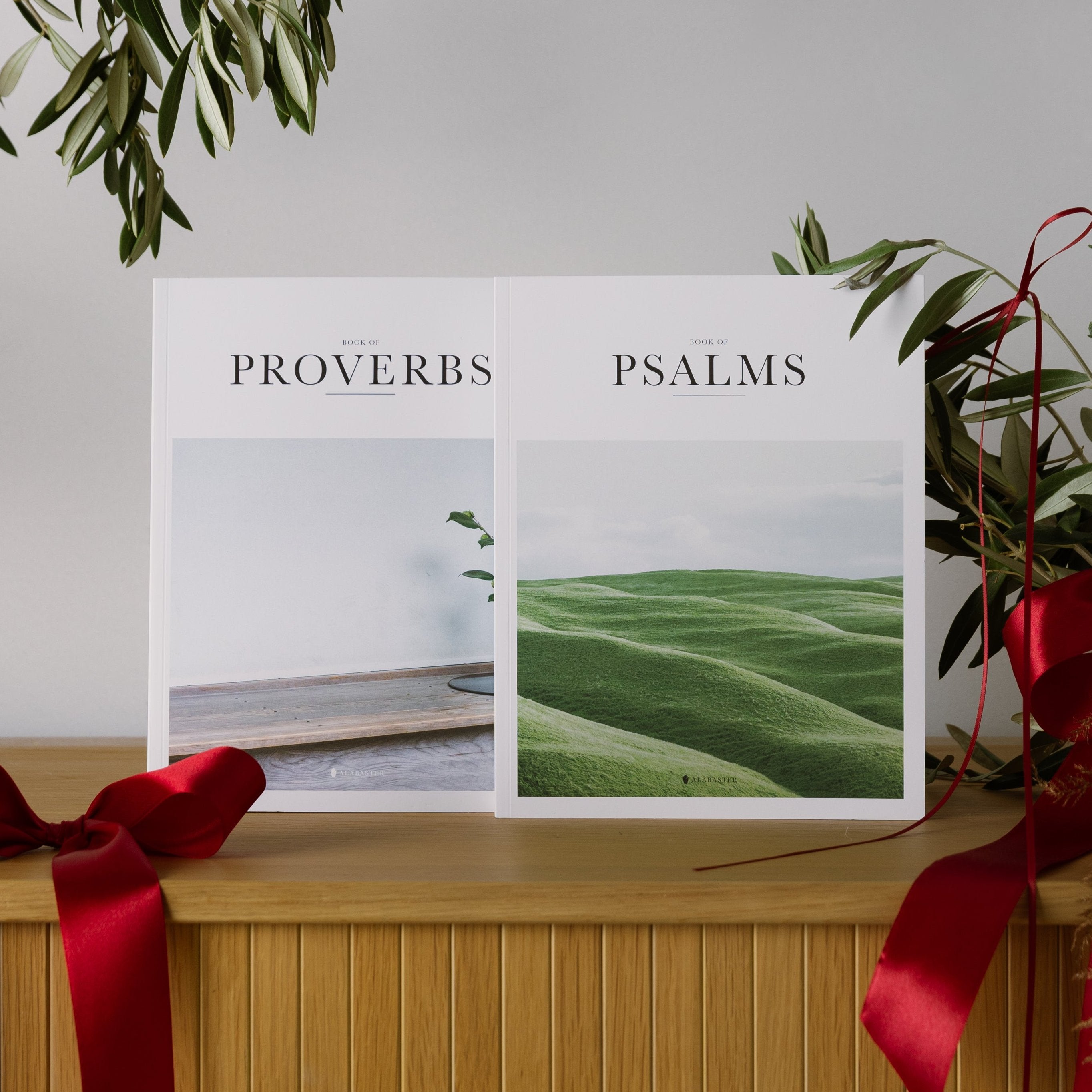 Hardcover Psalms & Proverbs Books | Alabaster Co