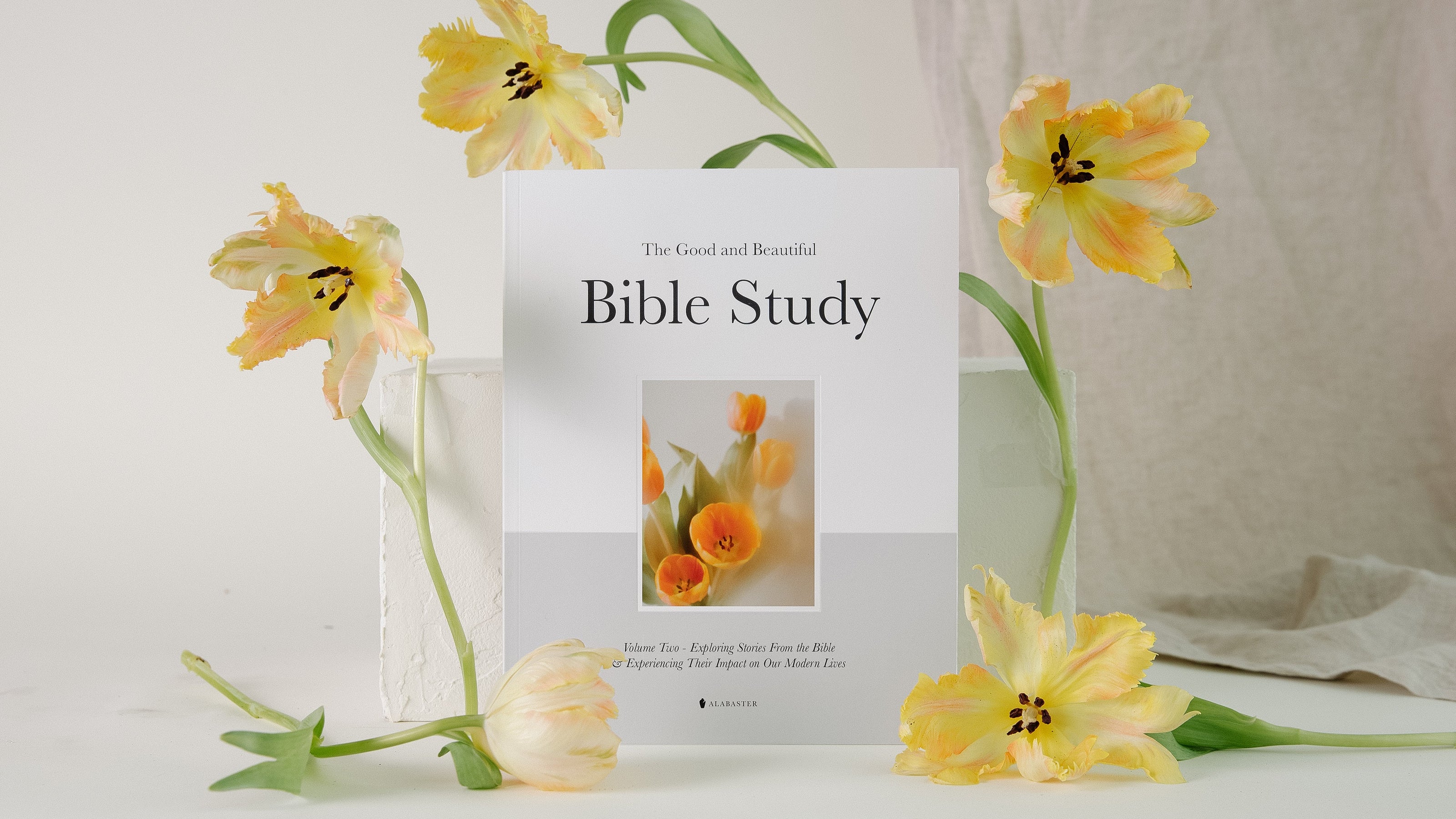 The Good and Beautiful Bible Study Volume 2